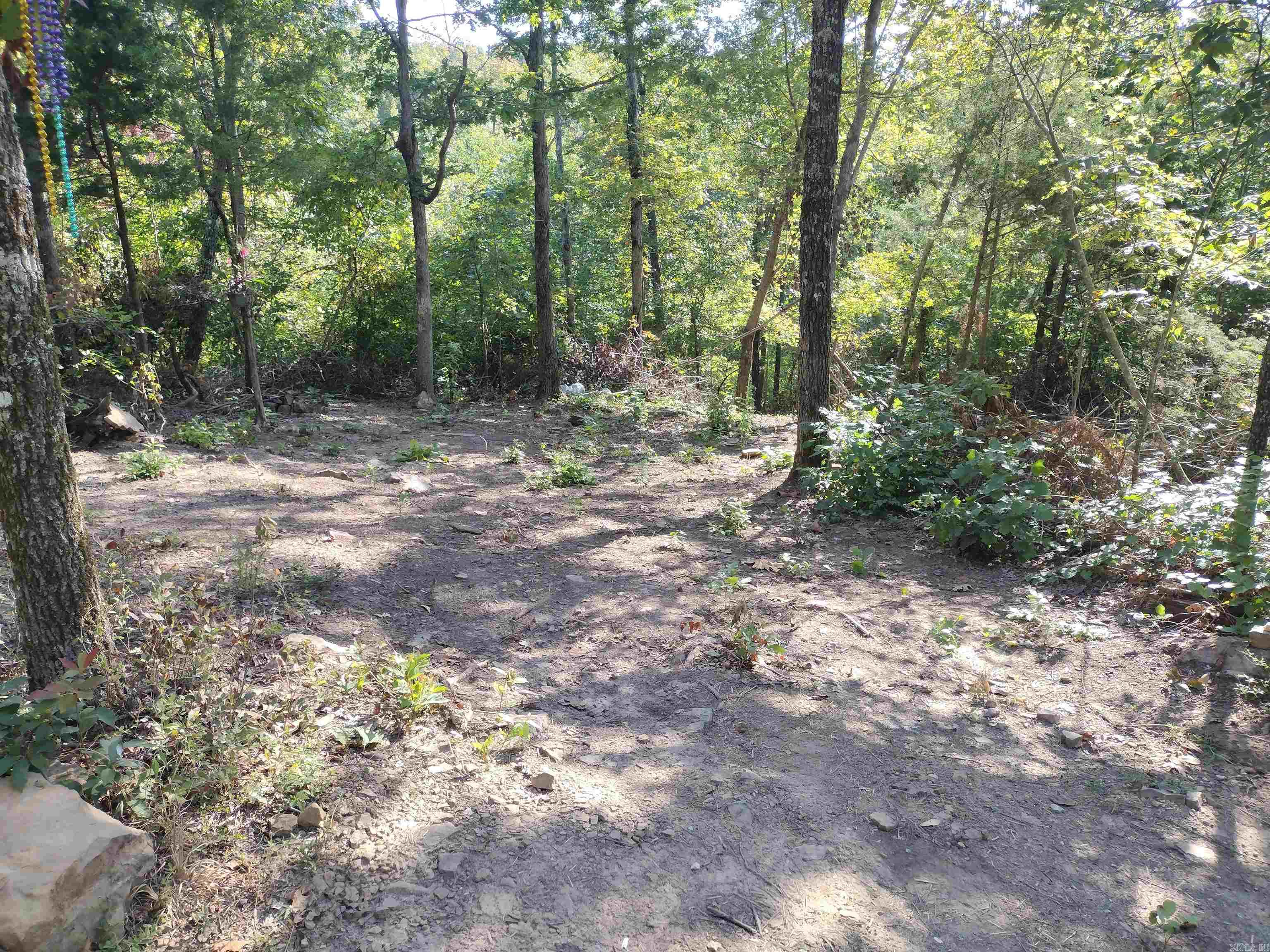 902 Monahan RD  Mountain View, AR