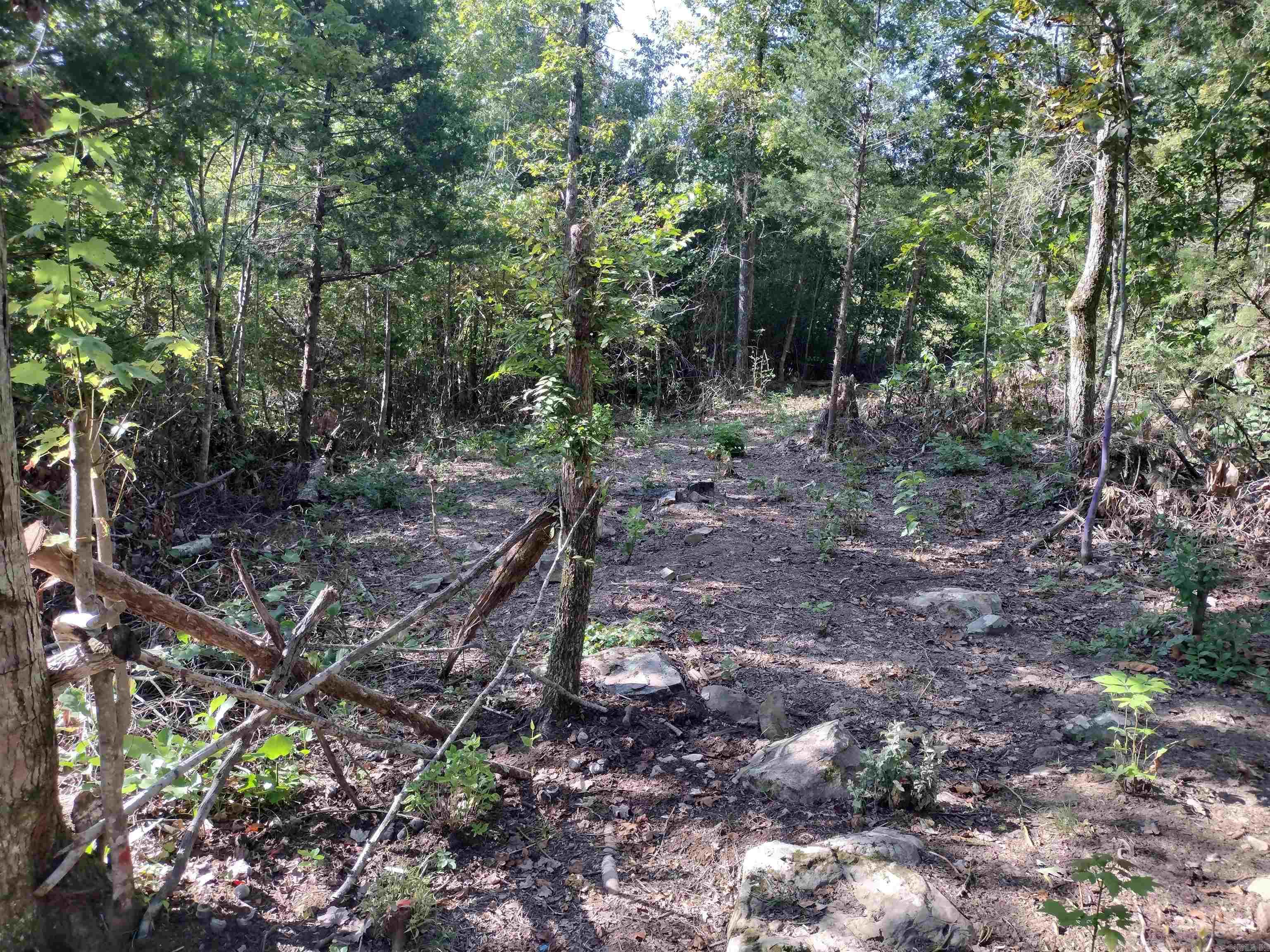 902 Monahan RD  Mountain View, AR