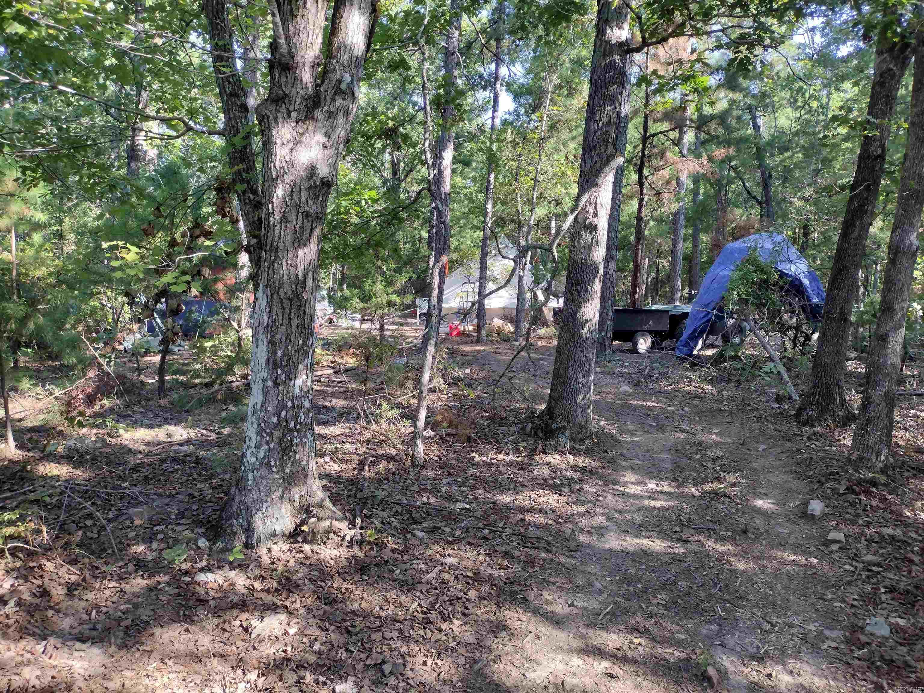 902 Monahan RD  Mountain View, AR