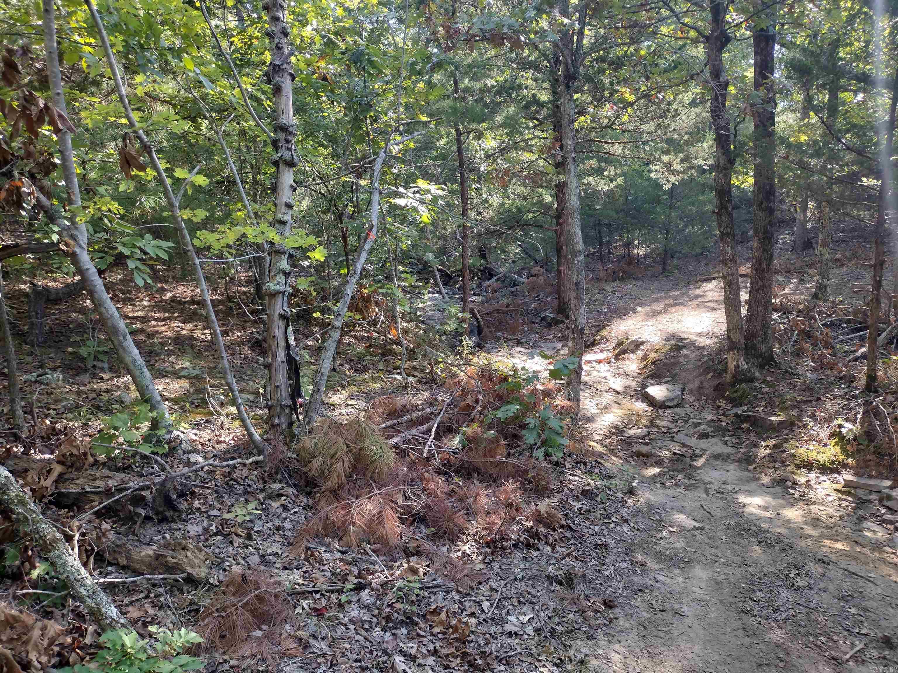 902 Monahan RD  Mountain View, AR