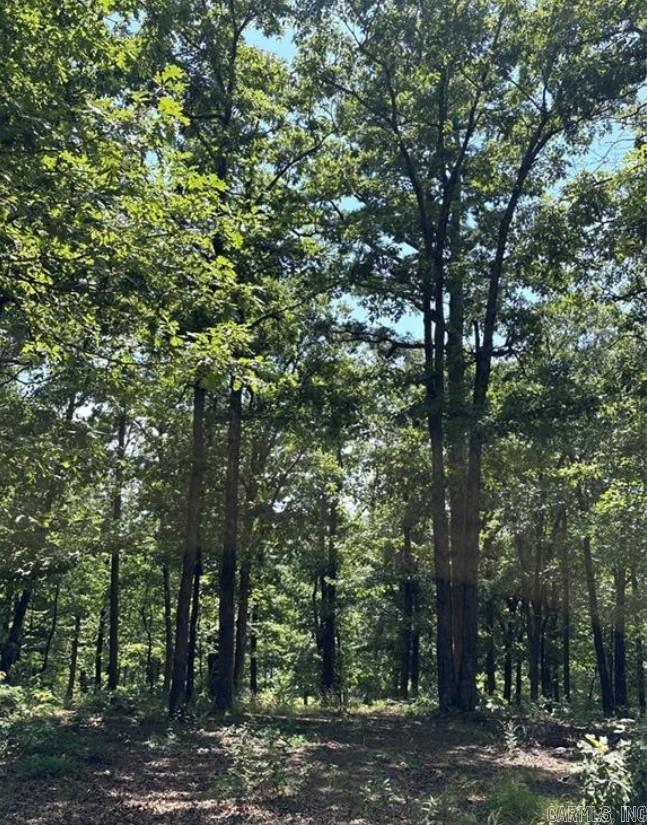 556 NC 6077  Jasper, AR