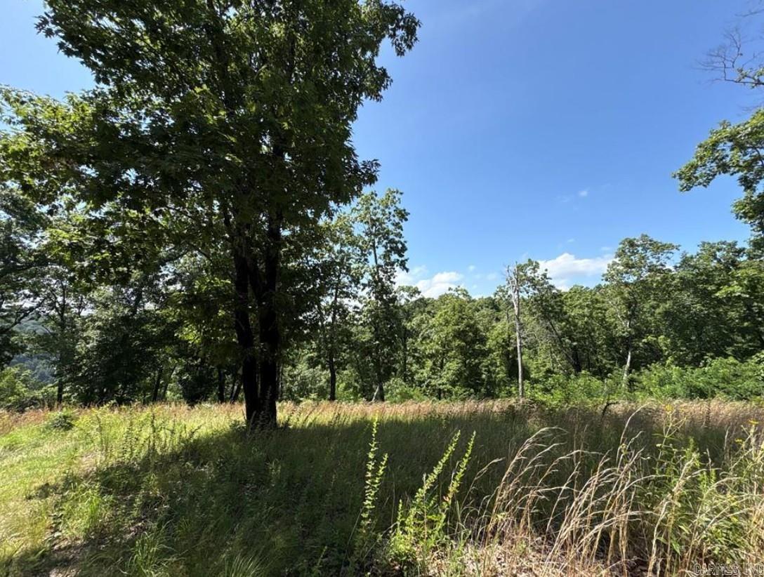 556 NC 6077  Jasper, AR