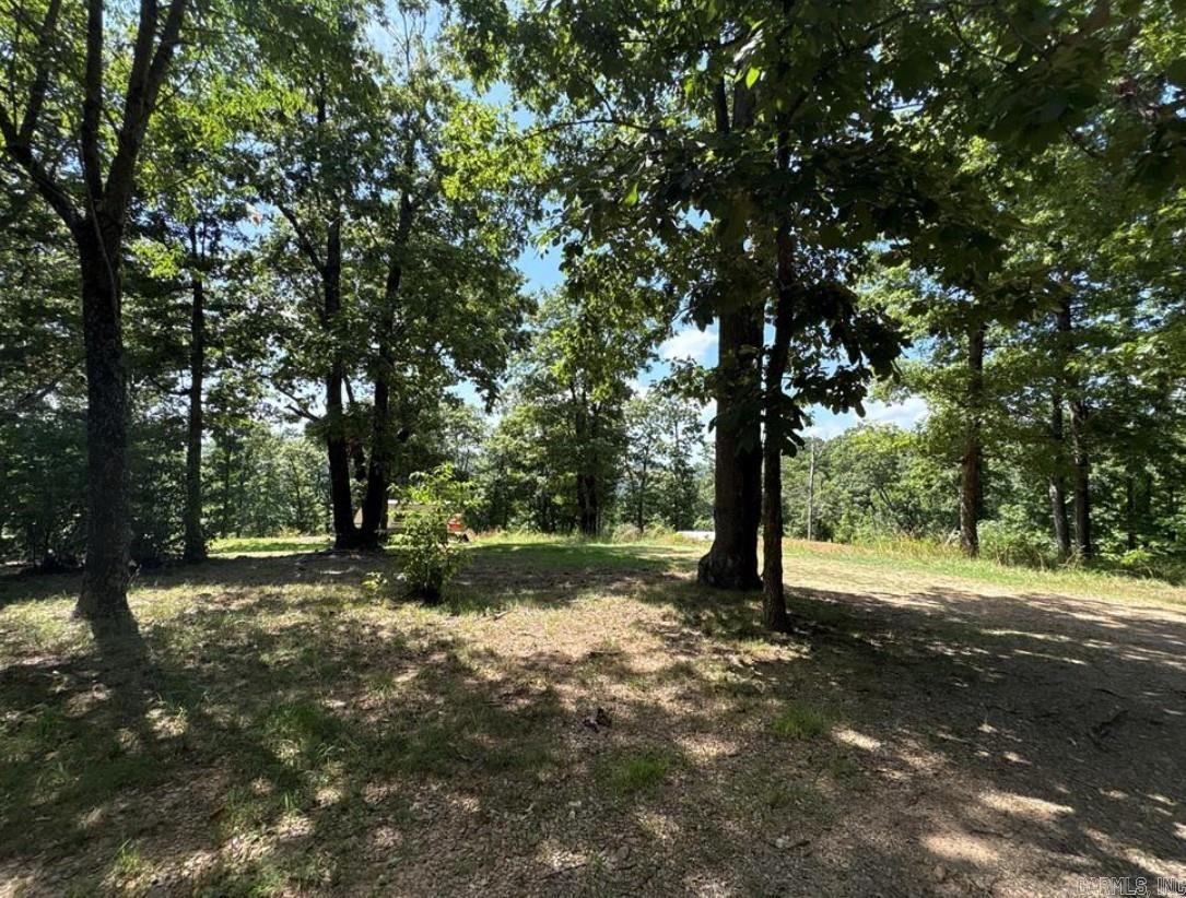 556 NC 6077  Jasper, AR