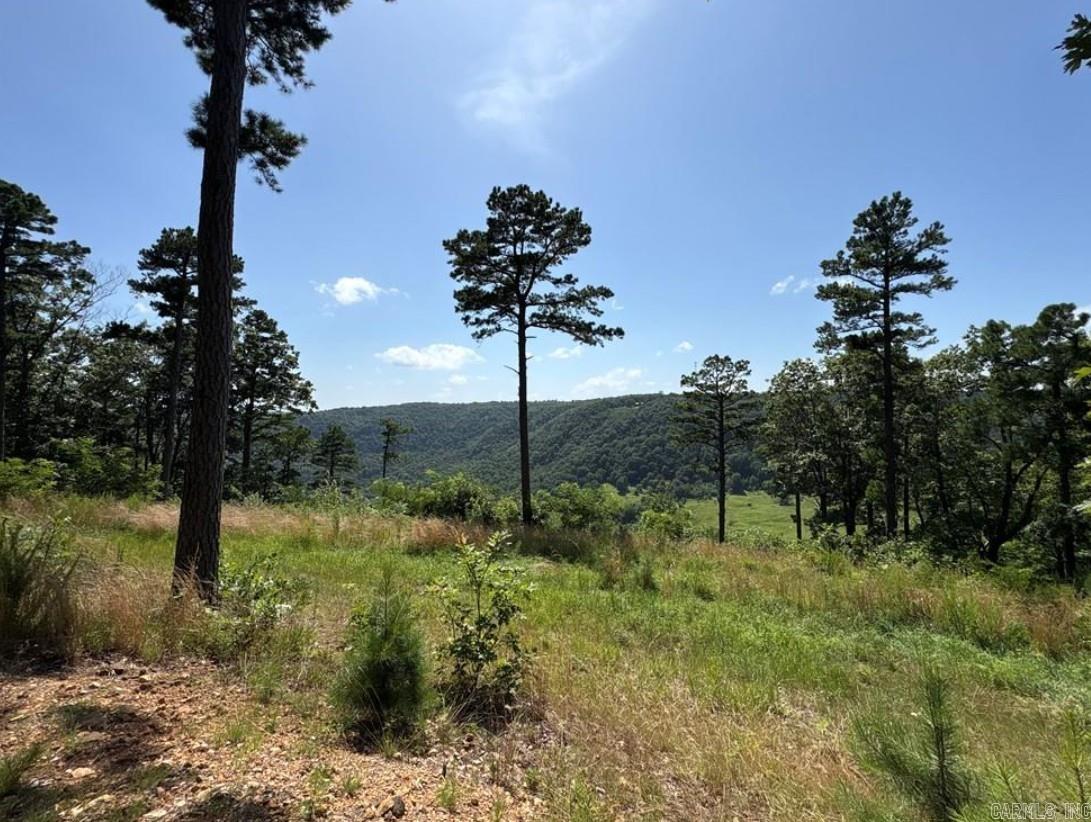 556 NC 6077  Jasper, AR