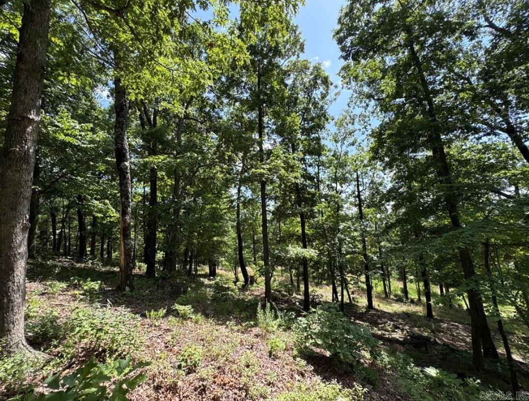 556 NC 6077  Jasper, AR