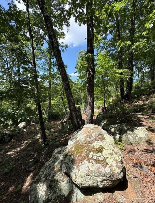 556 NC 6077  Jasper, AR