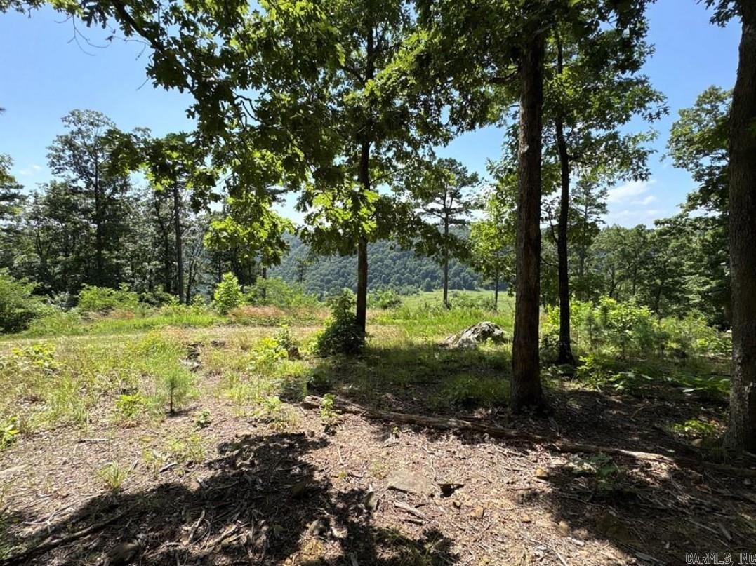 556 NC 6077  Jasper, AR