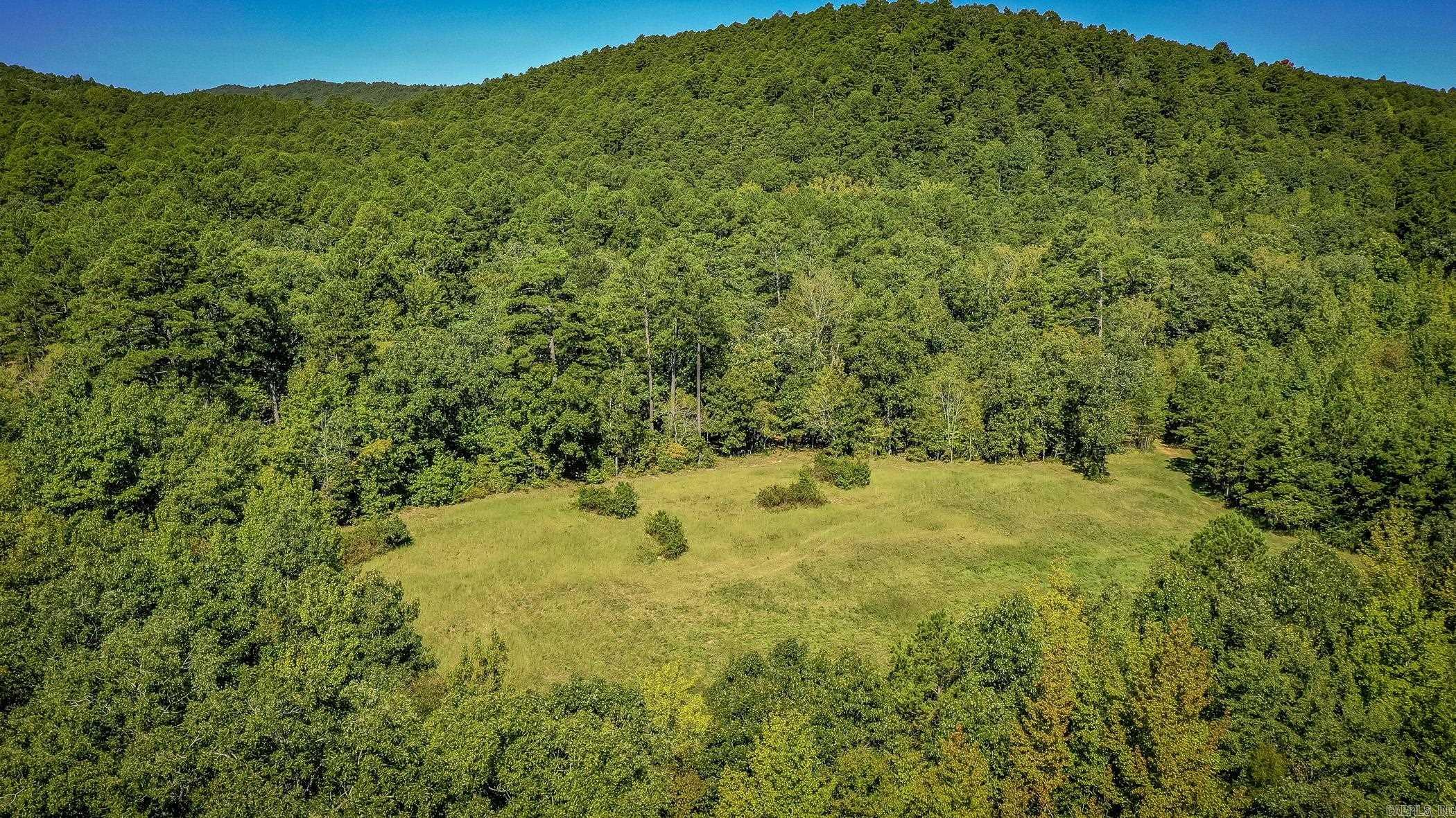 1775 Polk Road 61  Mena, AR