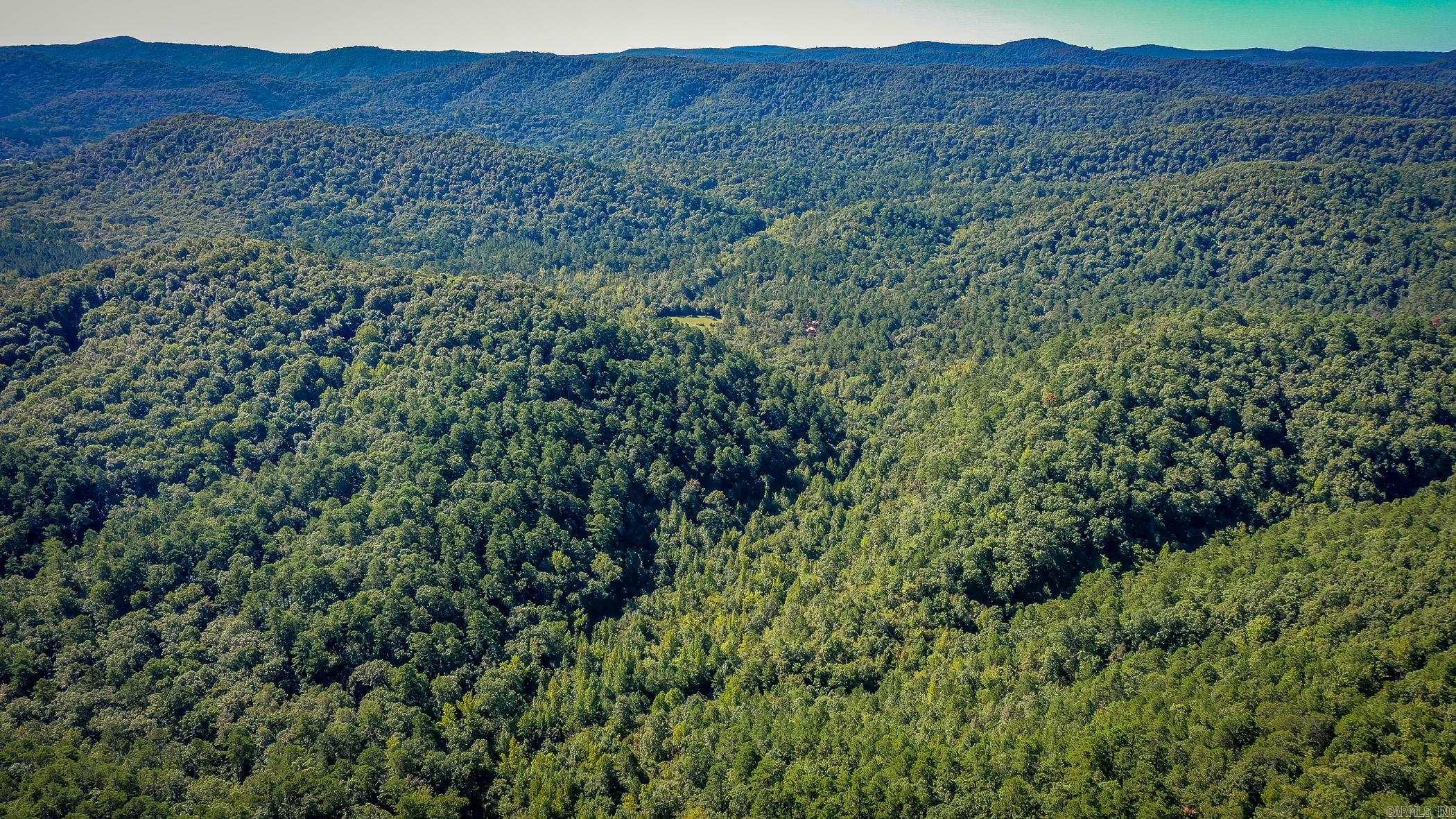 1775 Polk Road 61  Mena, AR