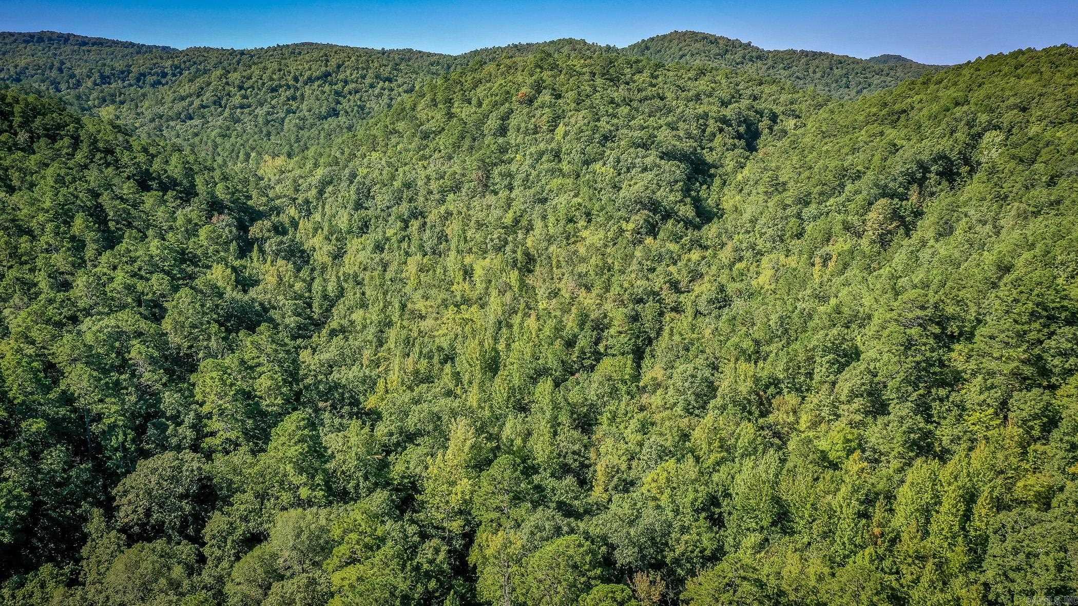 1775 Polk Road 61  Mena, AR