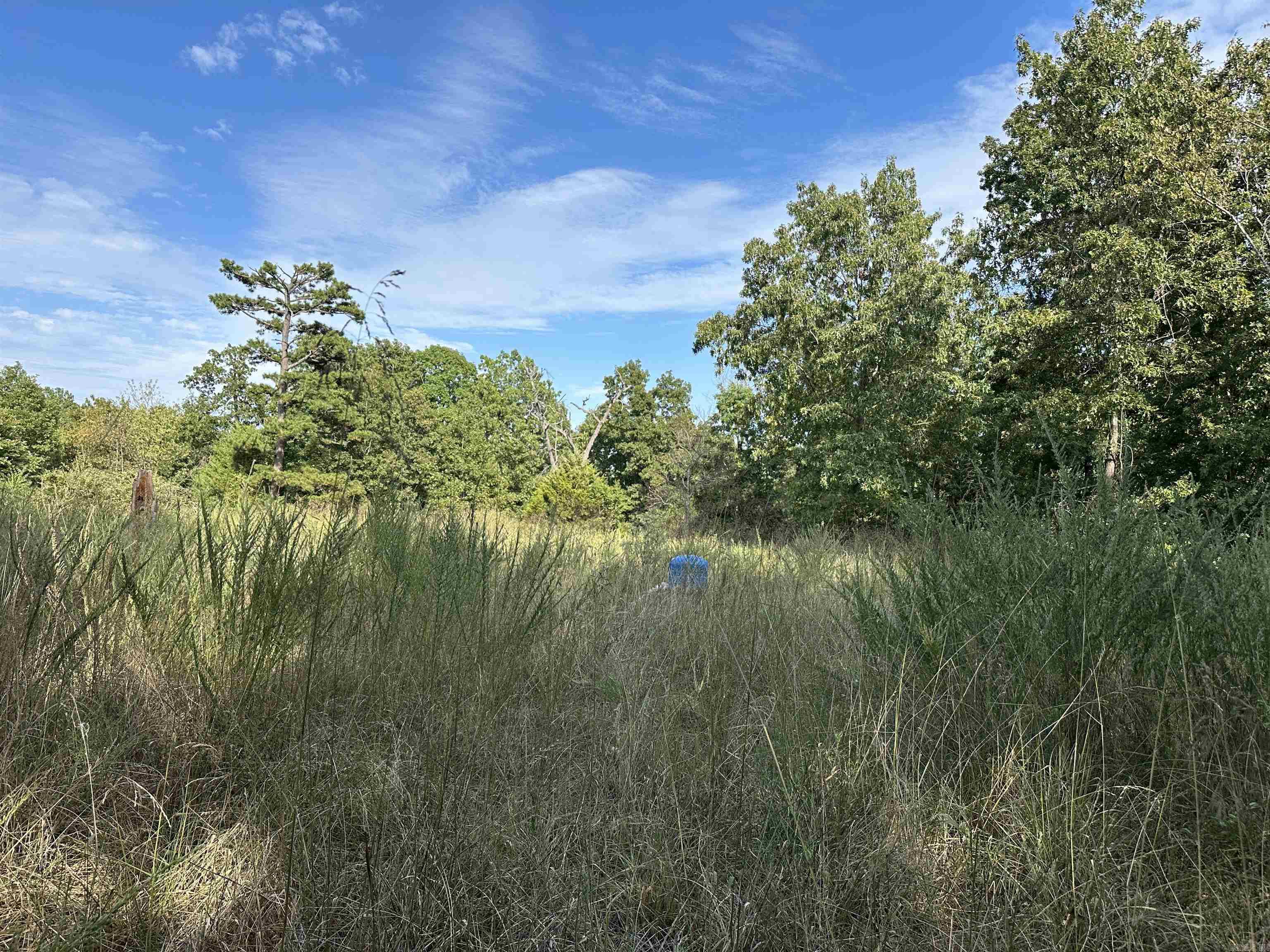 1158 Brushy Fork Road  Yellville, AR
