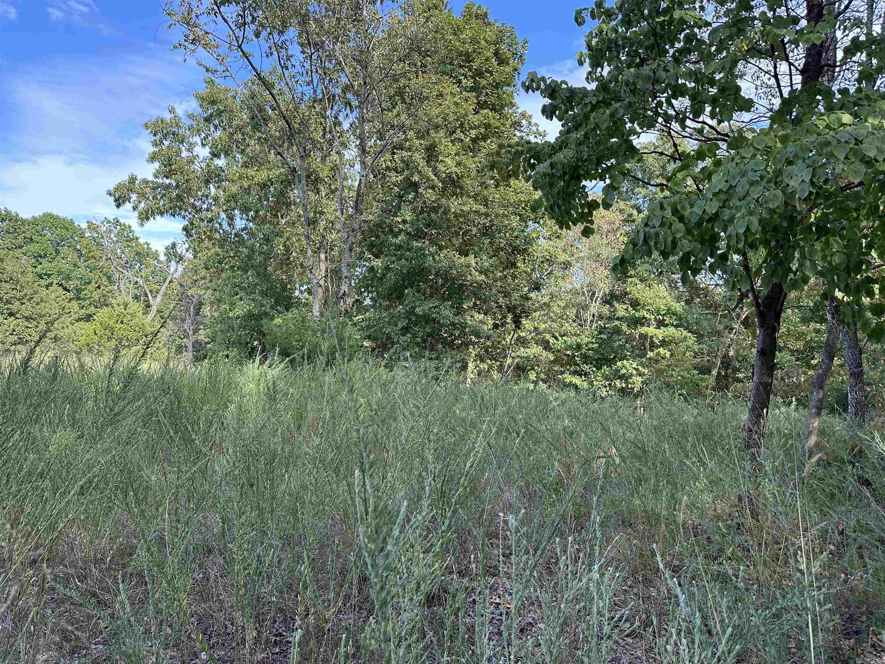1158 Brushy Fork Road  Yellville, AR