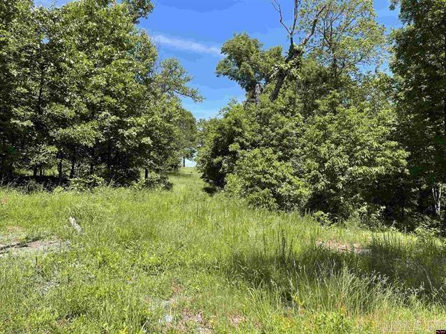 1158 Brushy Fork Road  Yellville, AR