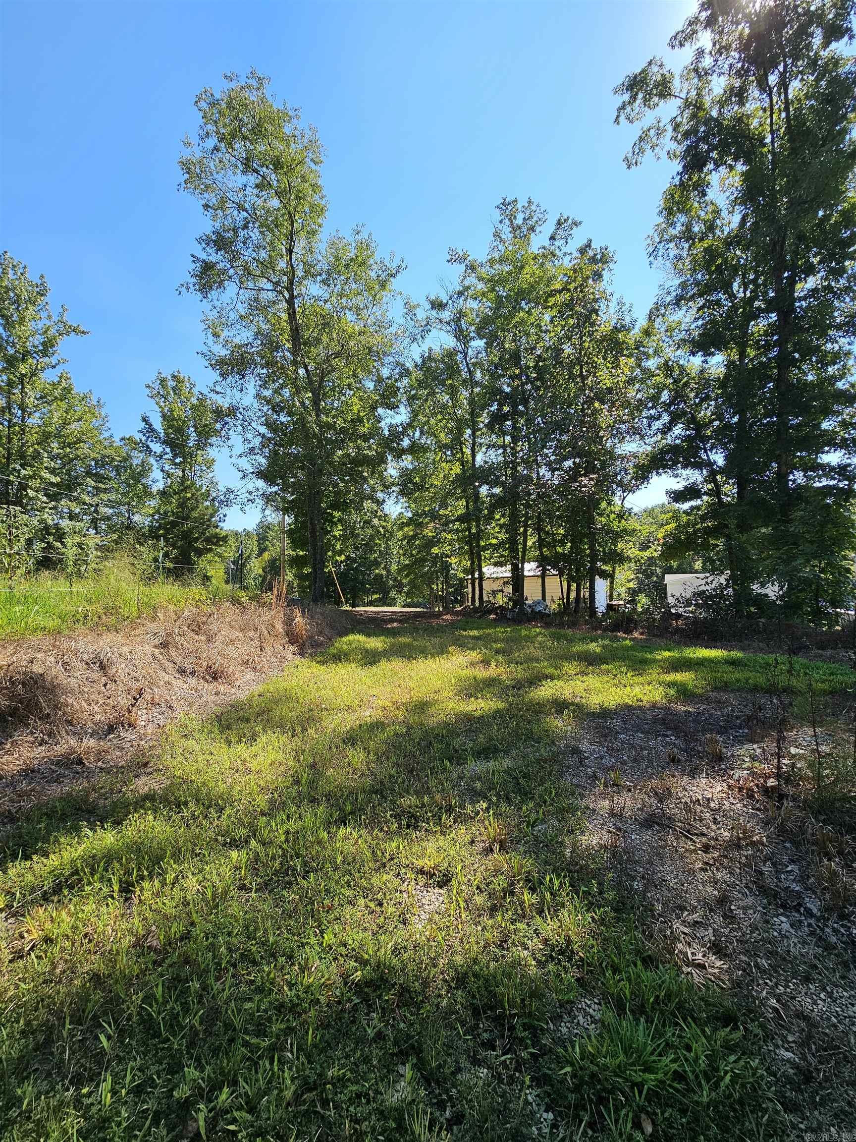 691 Turkey Beard  Bonnerdale, AR