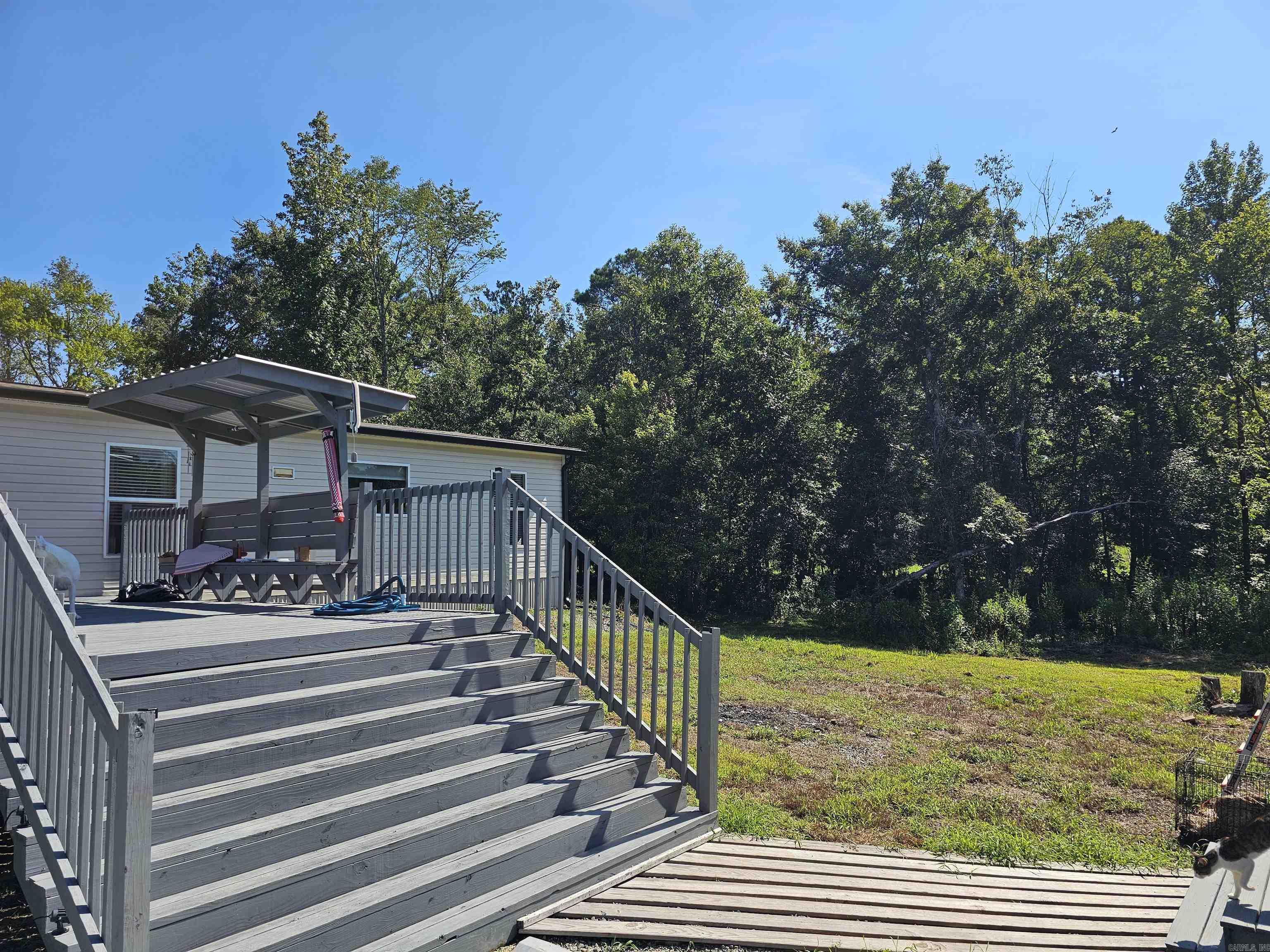 691 Turkey Beard  Bonnerdale, AR