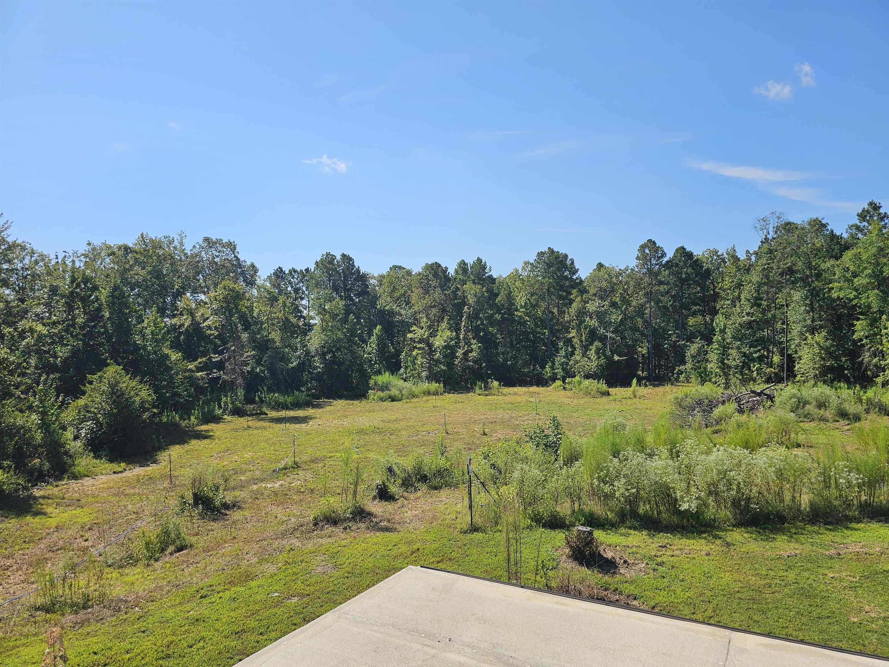 691 Turkey Beard  Bonnerdale, AR