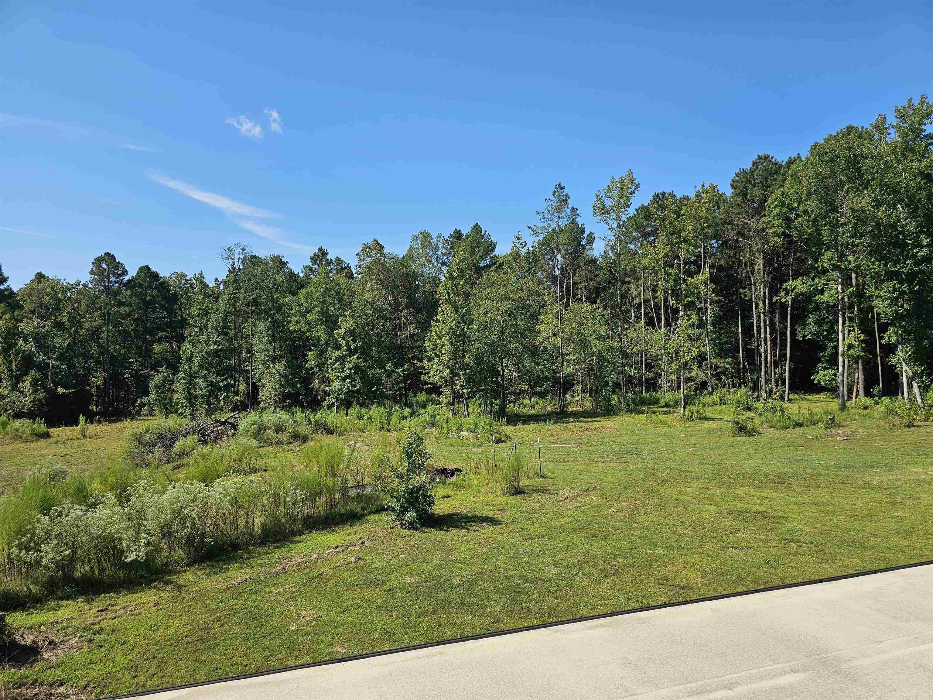 691 Turkey Beard  Bonnerdale, AR