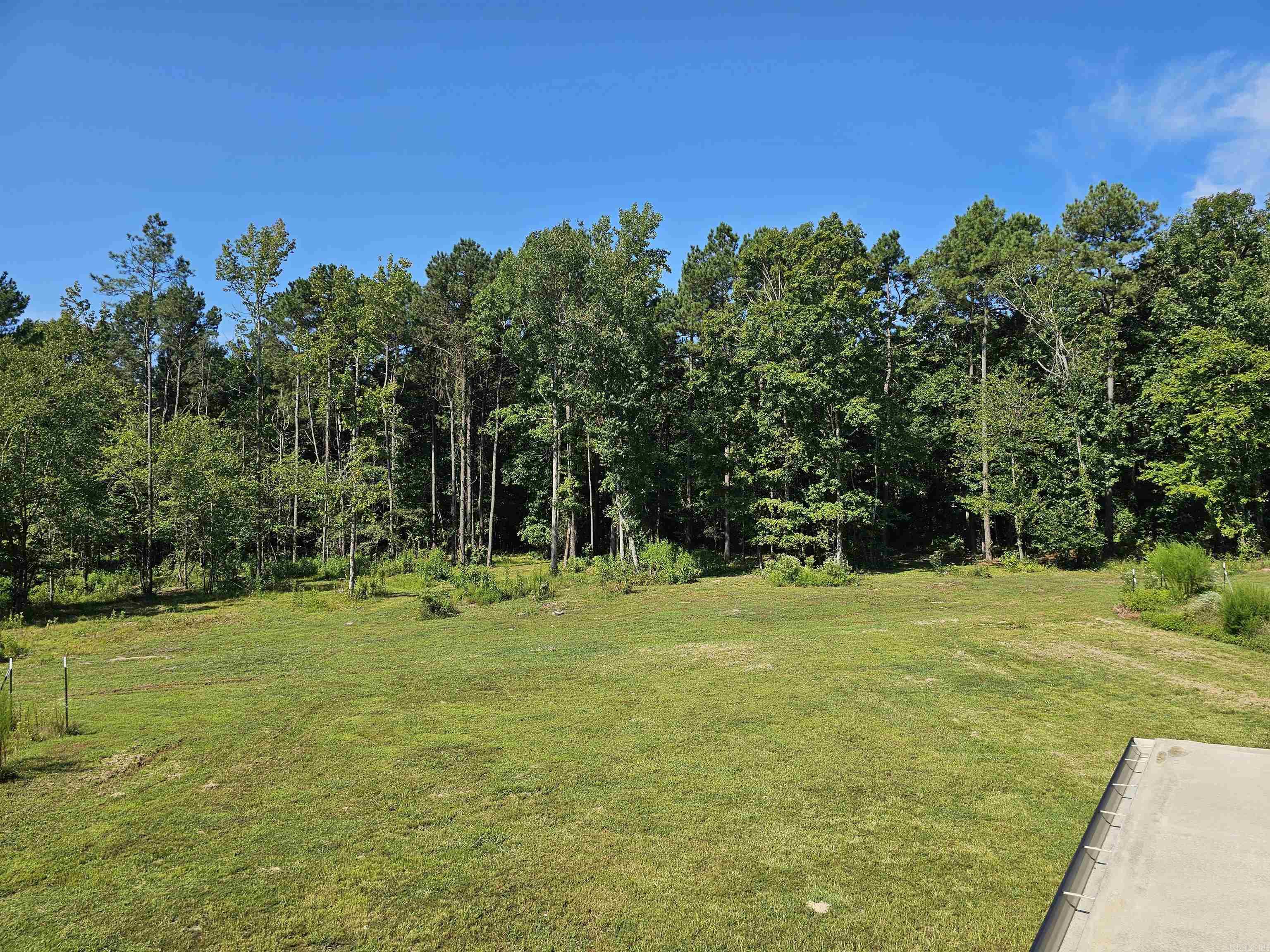 691 Turkey Beard  Bonnerdale, AR