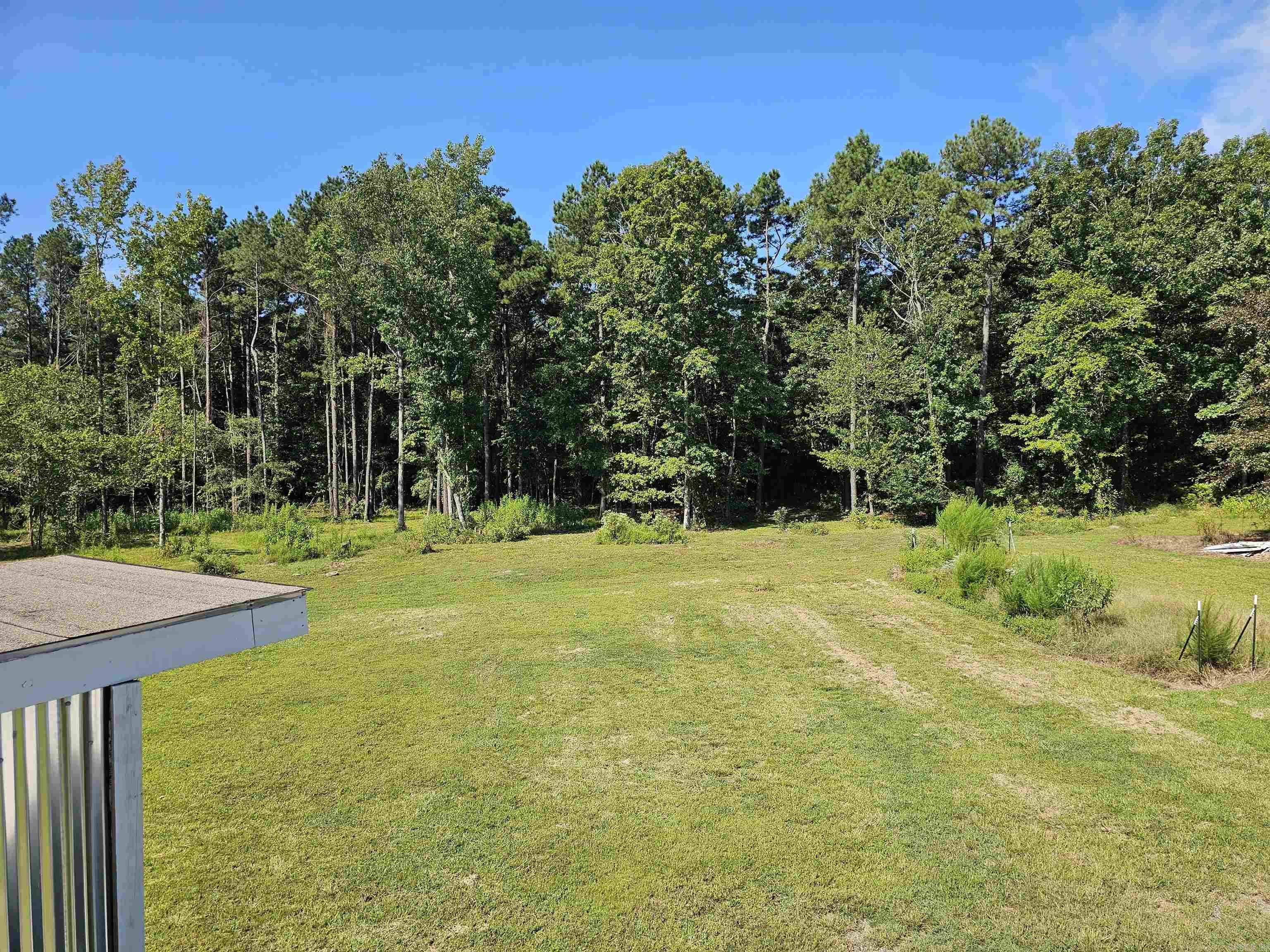 691 Turkey Beard  Bonnerdale, AR