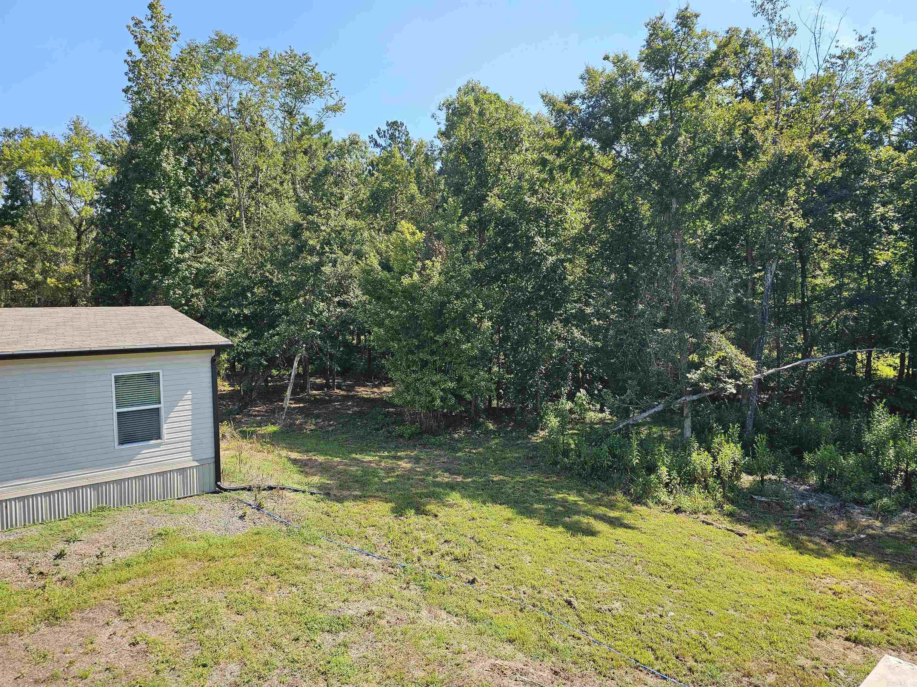 691 Turkey Beard  Bonnerdale, AR