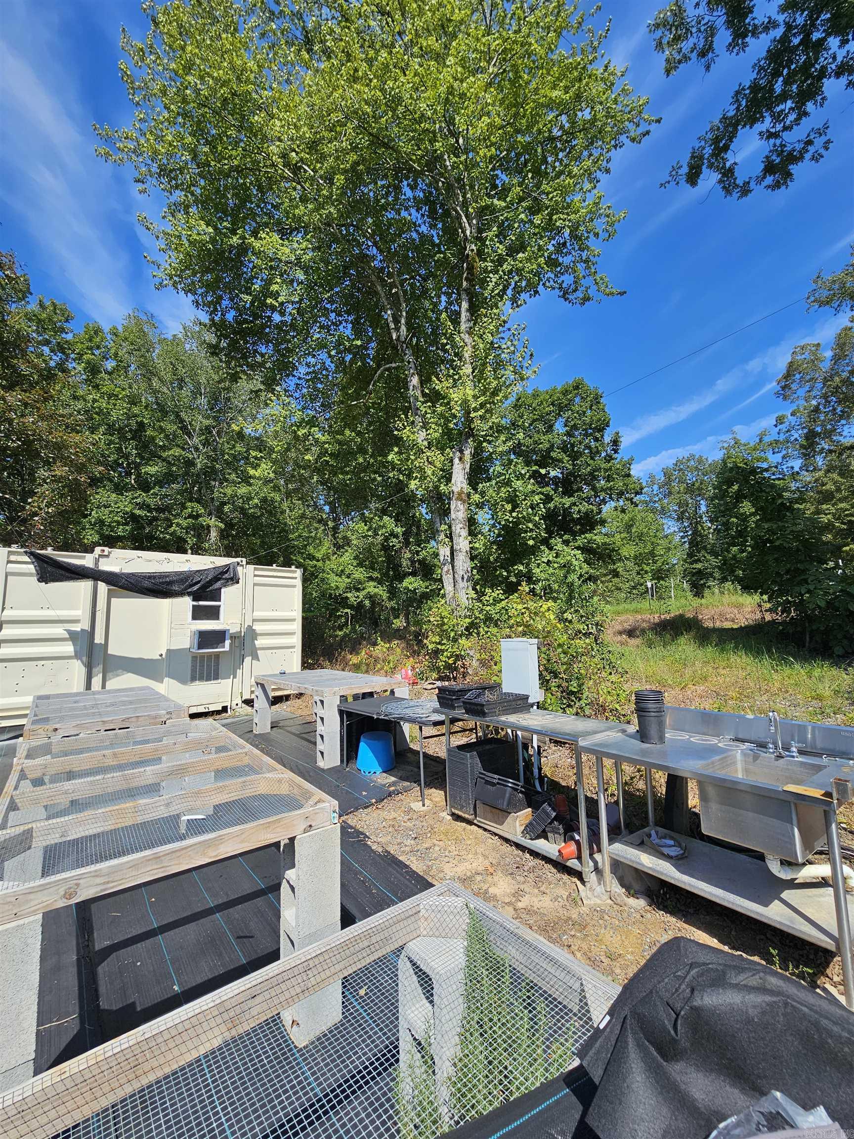 691 Turkey Beard  Bonnerdale, AR