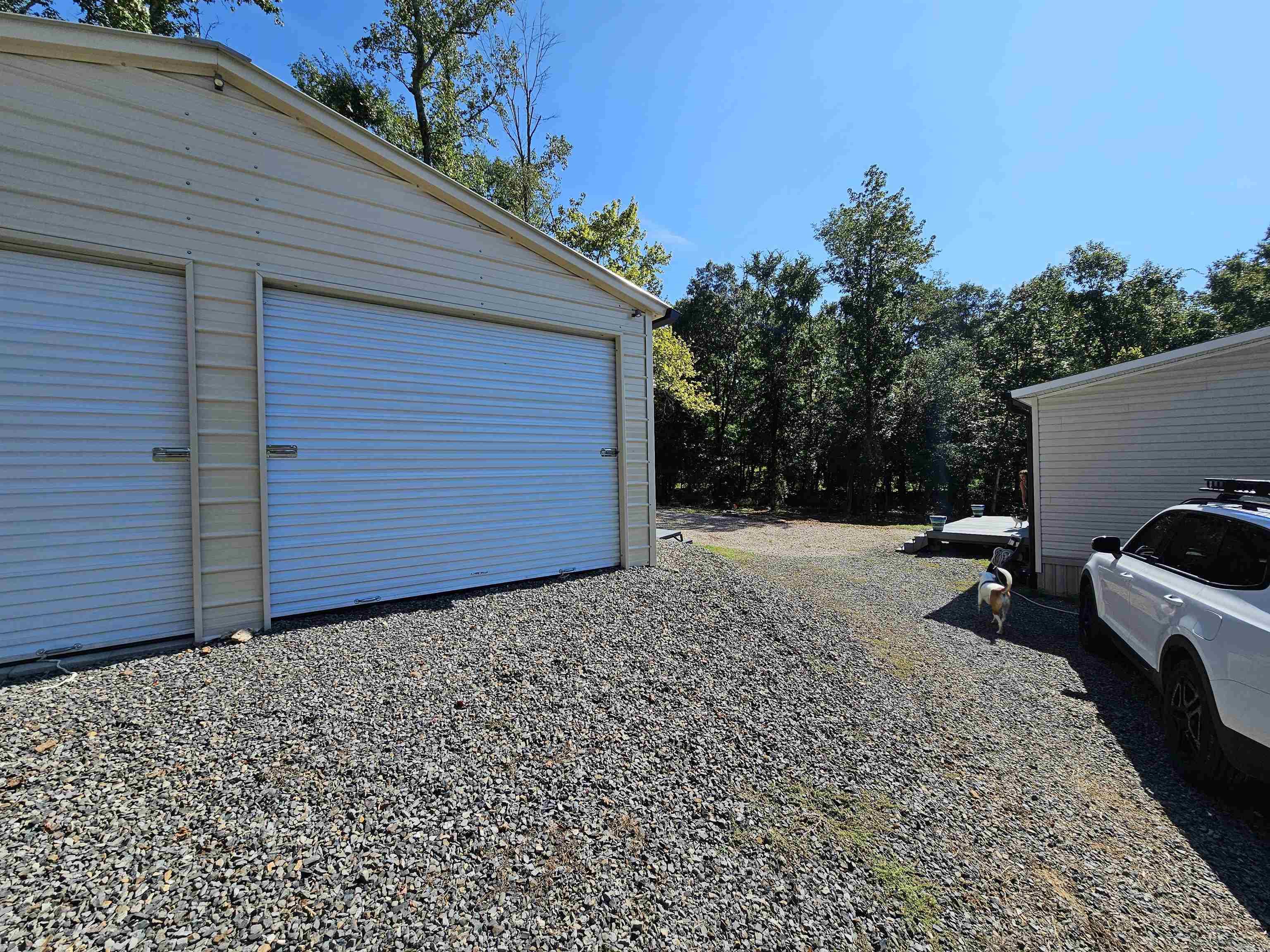 691 Turkey Beard  Bonnerdale, AR