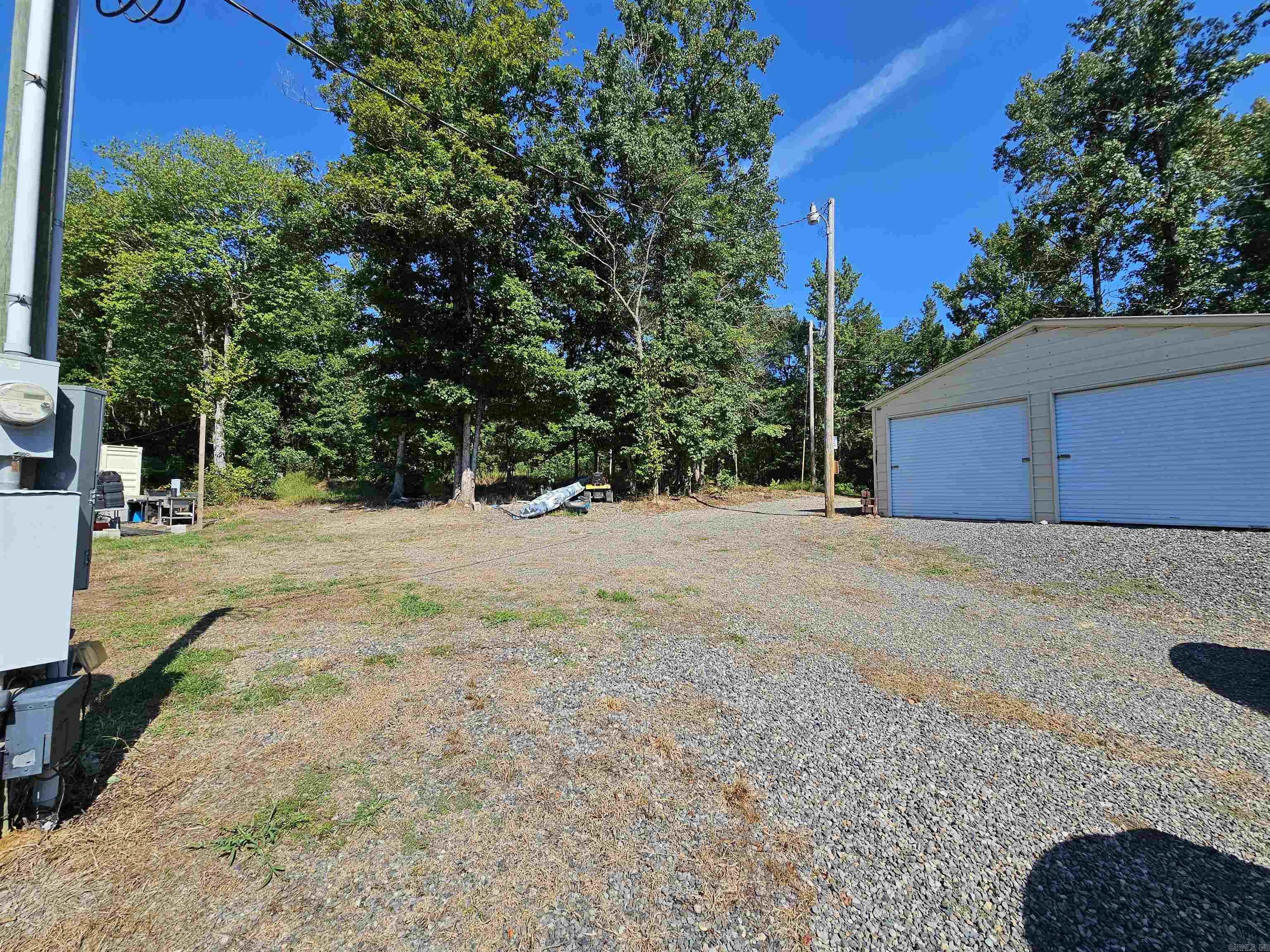 691 Turkey Beard  Bonnerdale, AR
