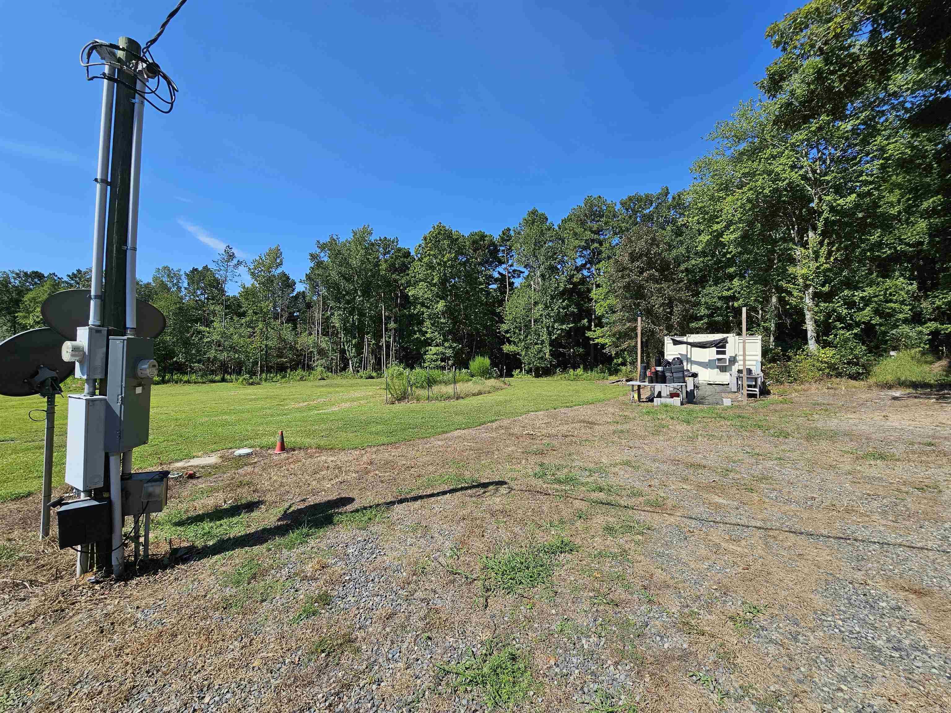 691 Turkey Beard  Bonnerdale, AR