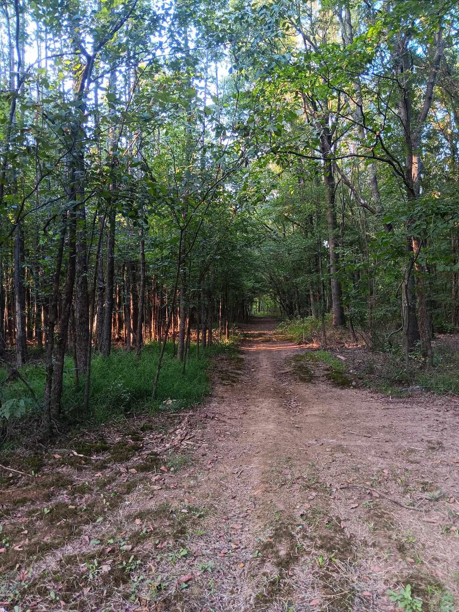 10282 Smith Ln  Dardanelle, AR
