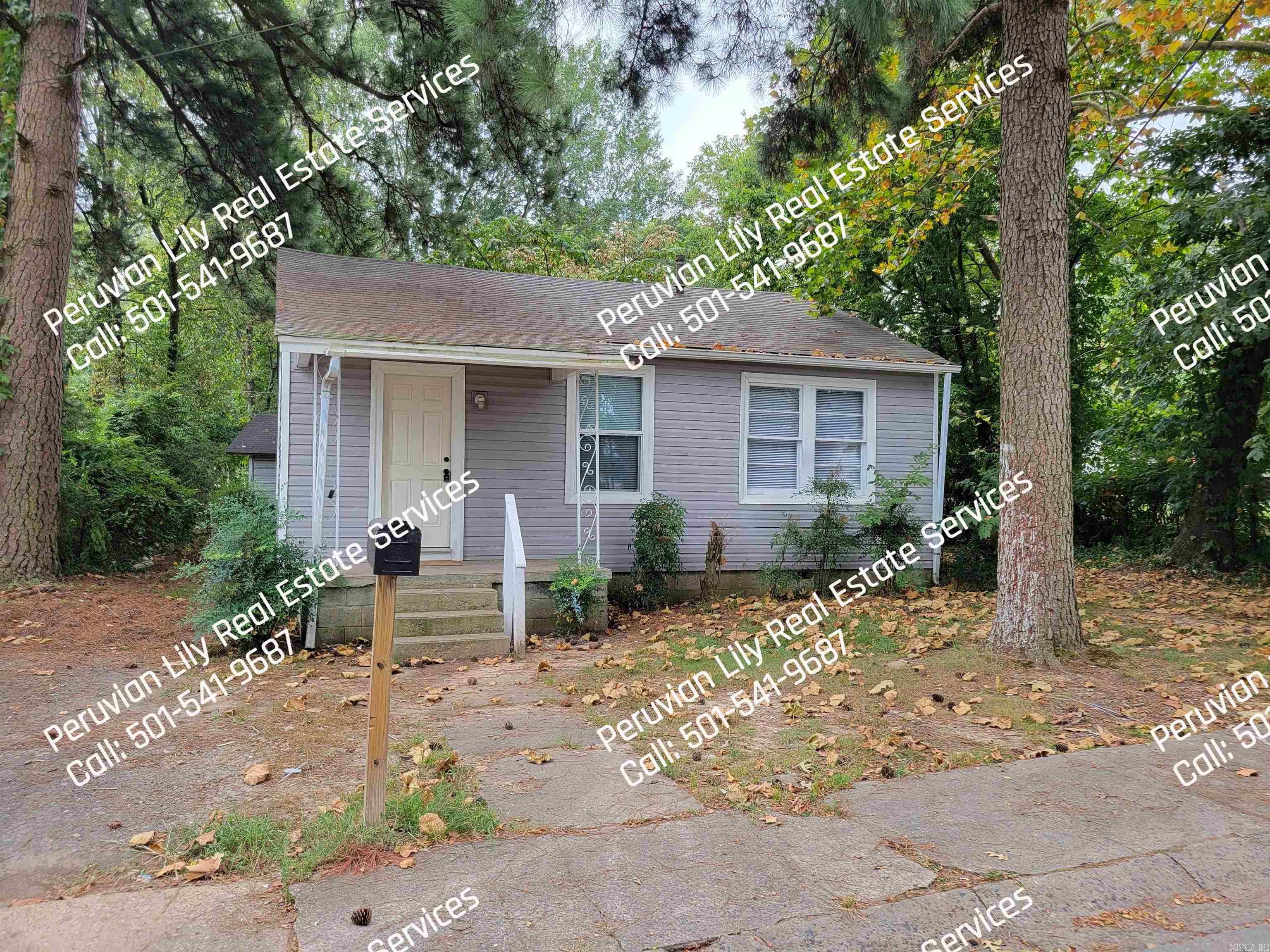 100 Wilson Street