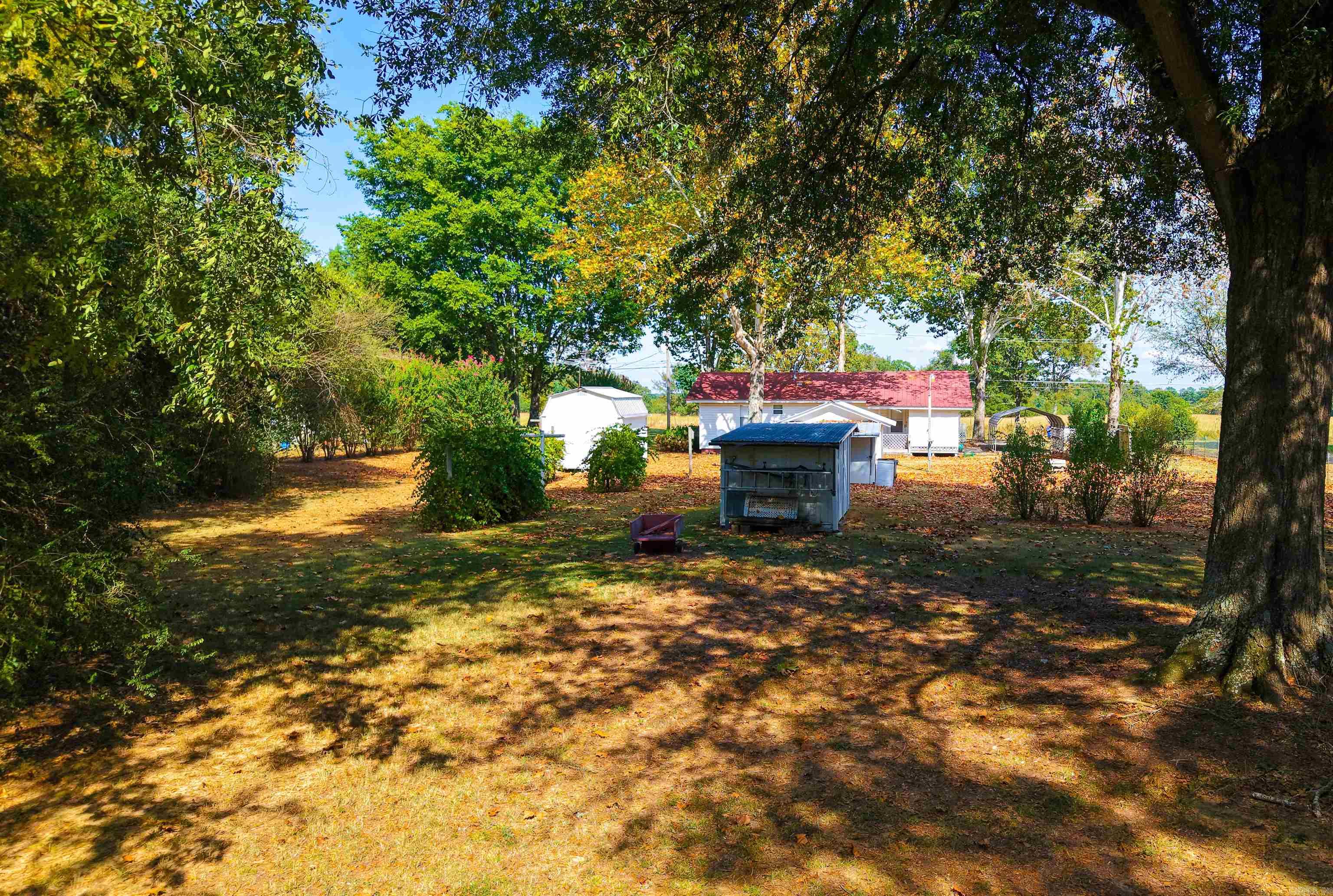 137 Ralph Reed  Judsonia, AR