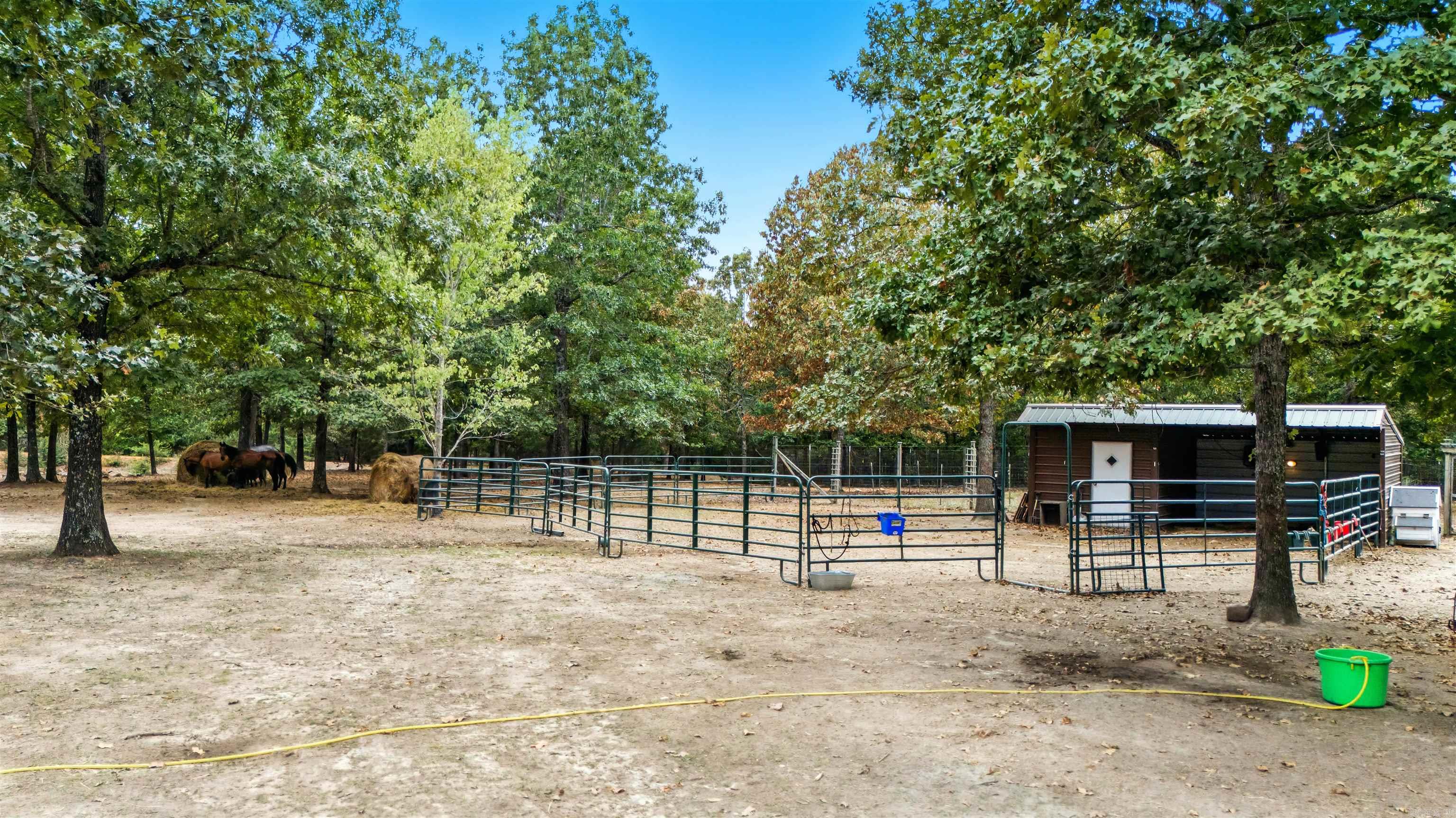 64 Traw  Mammoth Spring, AR