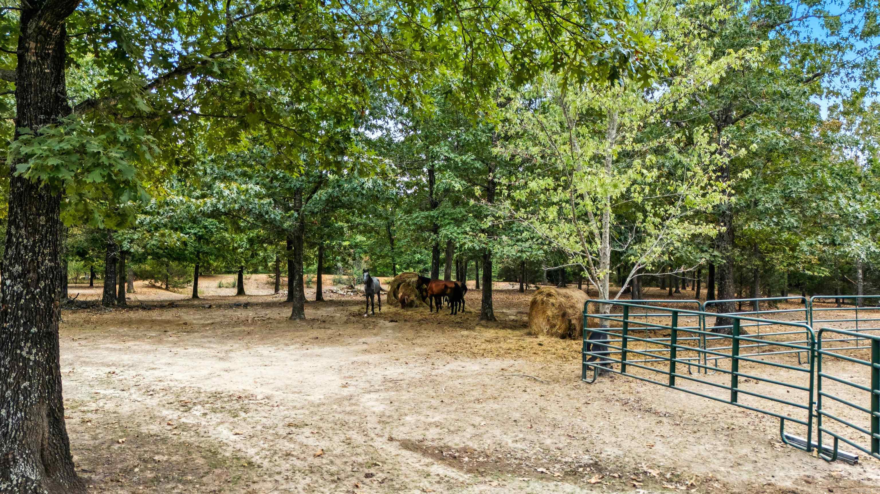 64 Traw  Mammoth Spring, AR