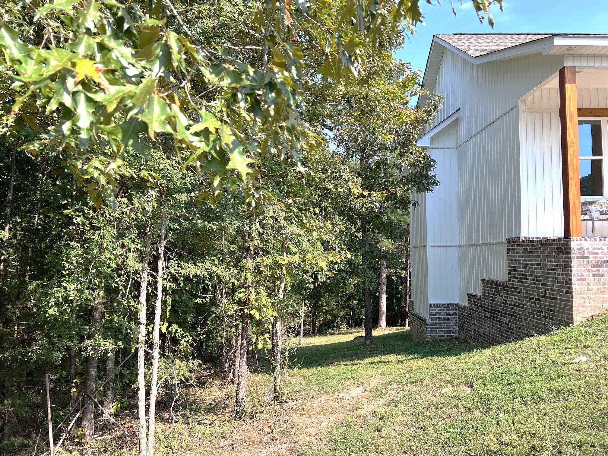 150 Caddy Cove  Mountain View, AR