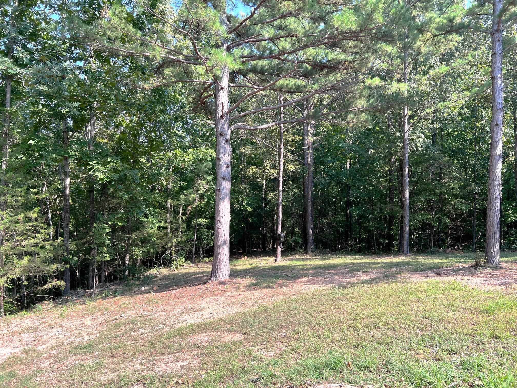 150 Caddy Cove  Mountain View, AR