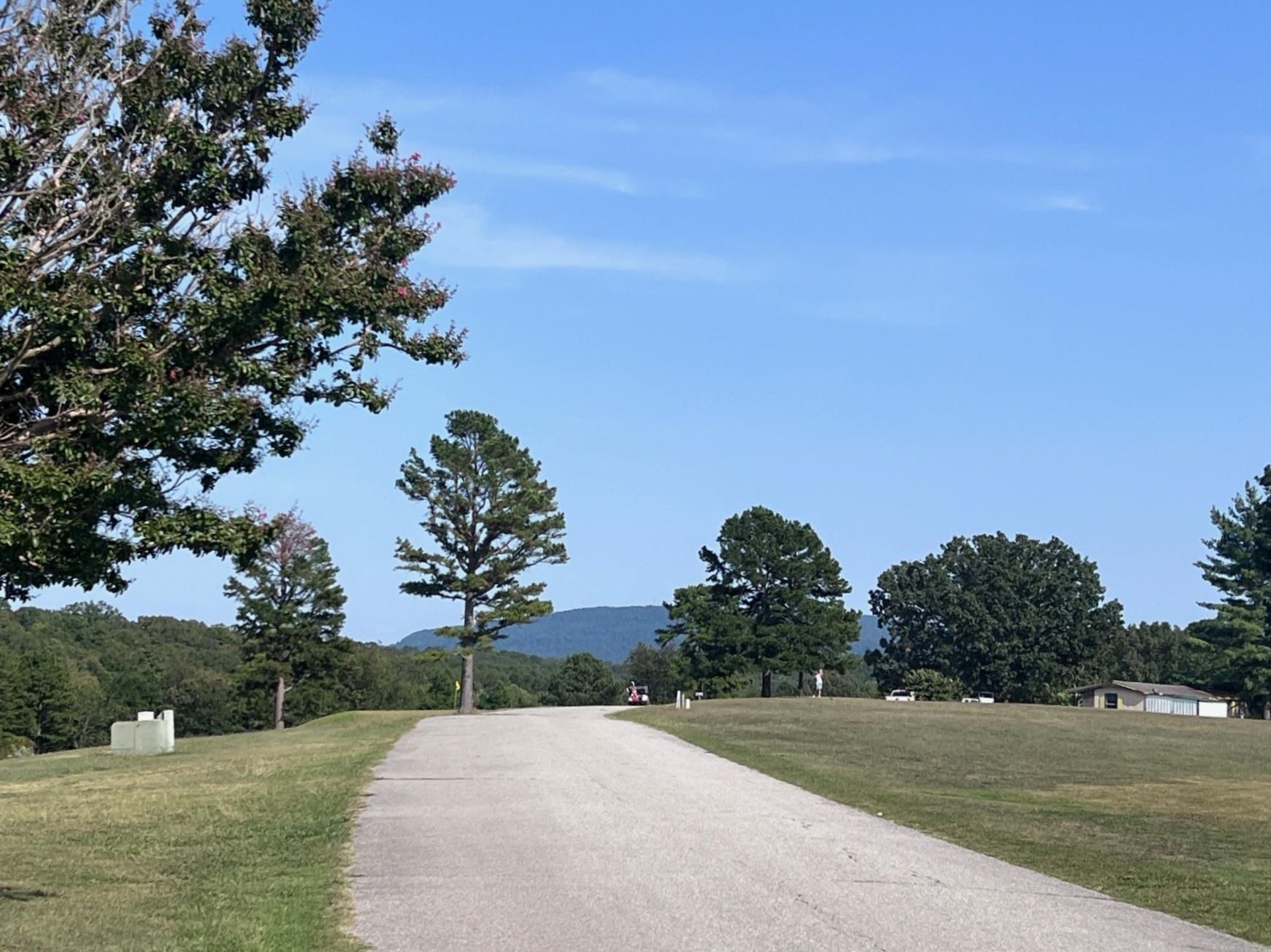 150 Caddy Cove  Mountain View, AR