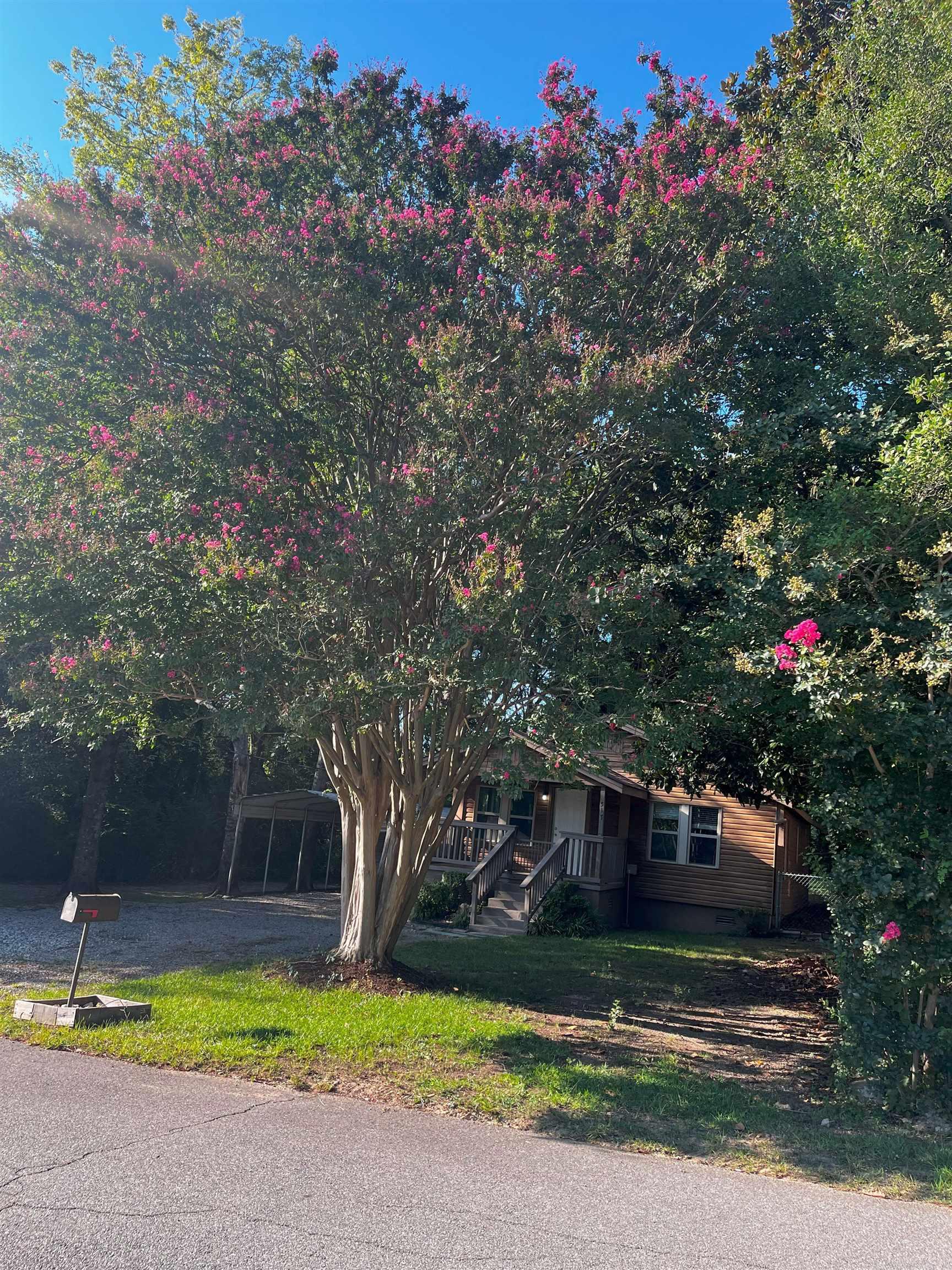 517 Trivista Left  Hot Springs, AR