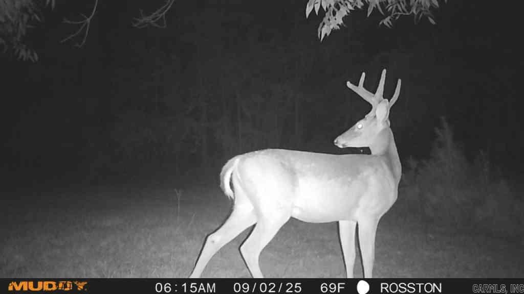 TBD Hwy 371 S West  Rosston, AR