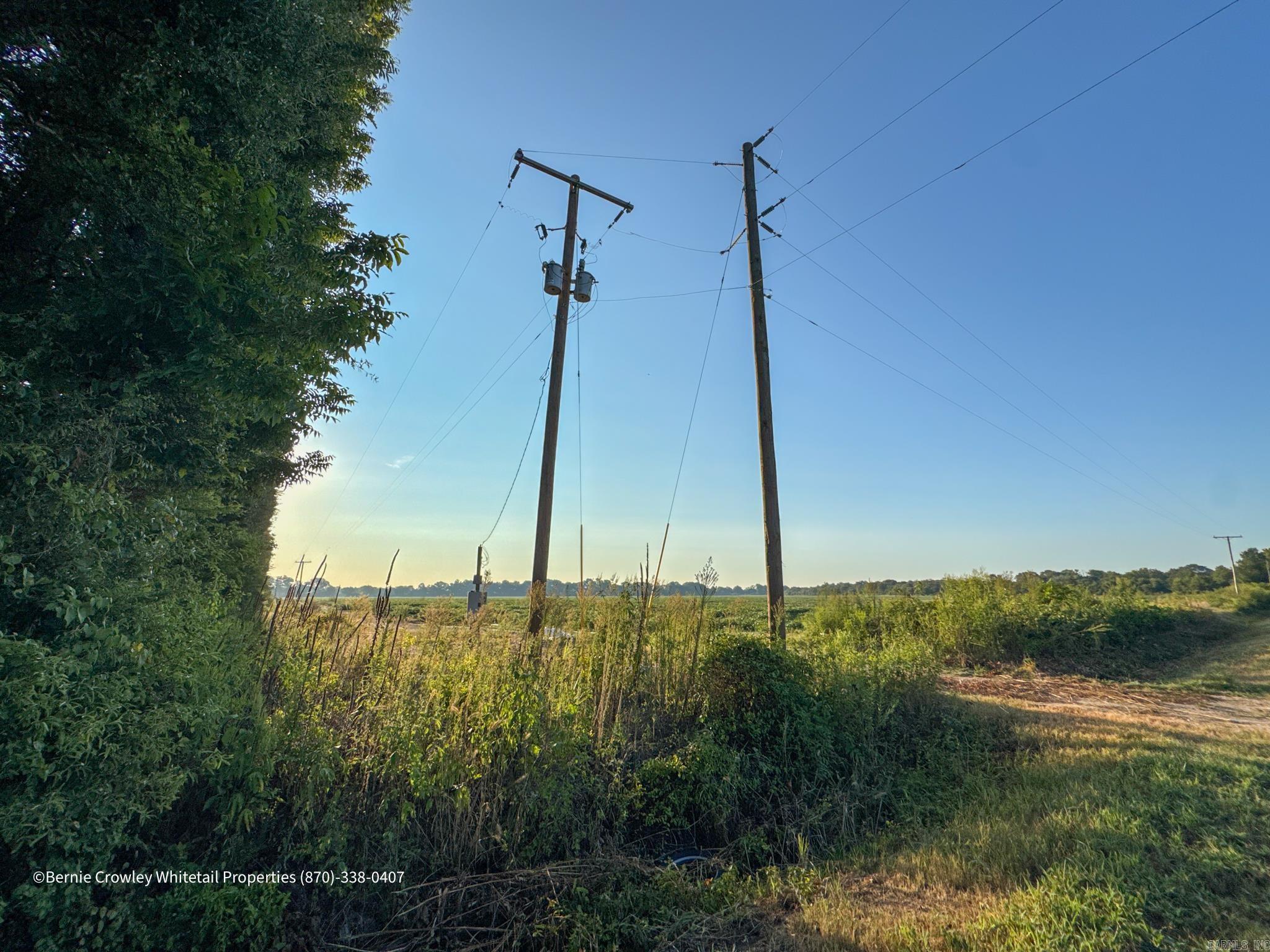  County Highway 787  Cotton Plant, AR