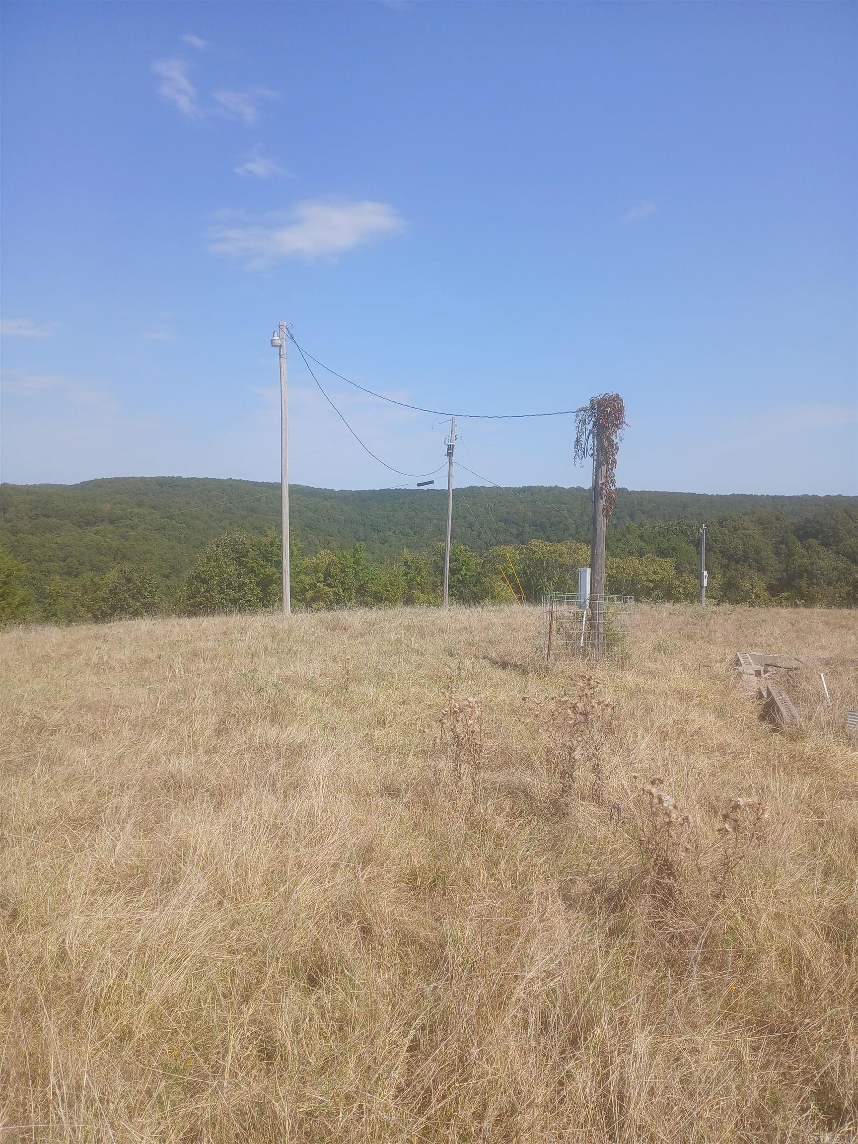 445 Hudspeth  Yellville, AR