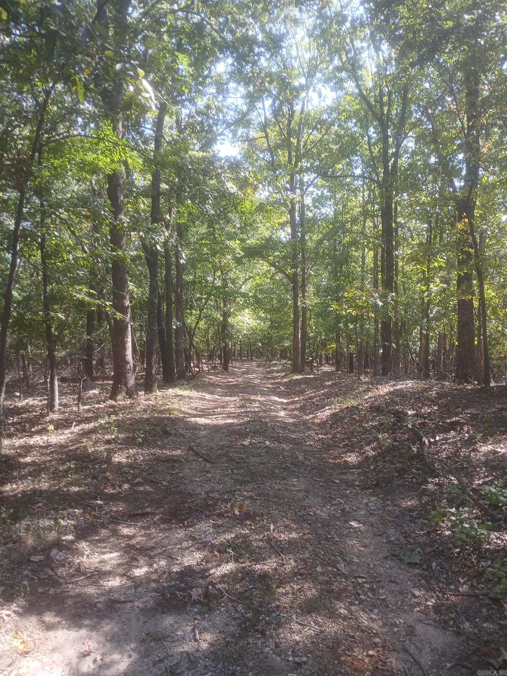 445 Hudspeth  Yellville, AR