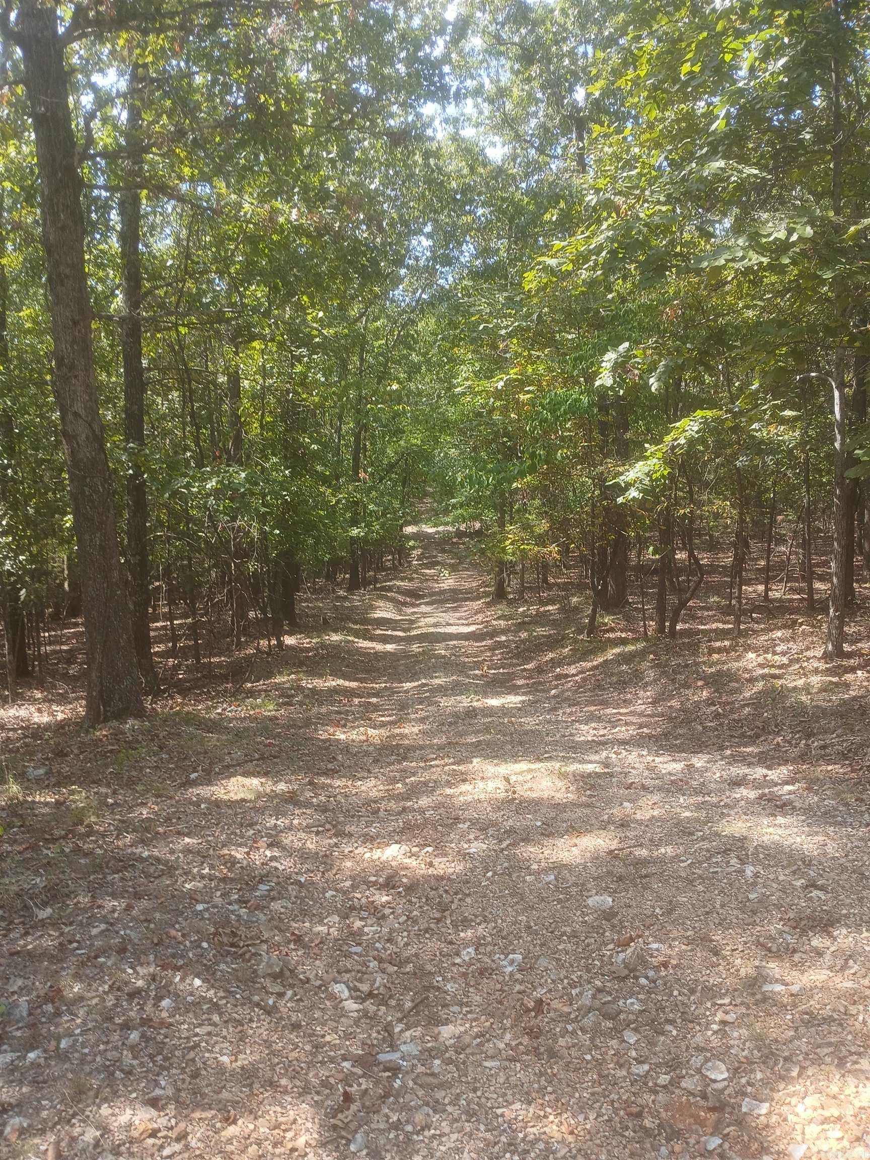 445 Hudspeth  Yellville, AR