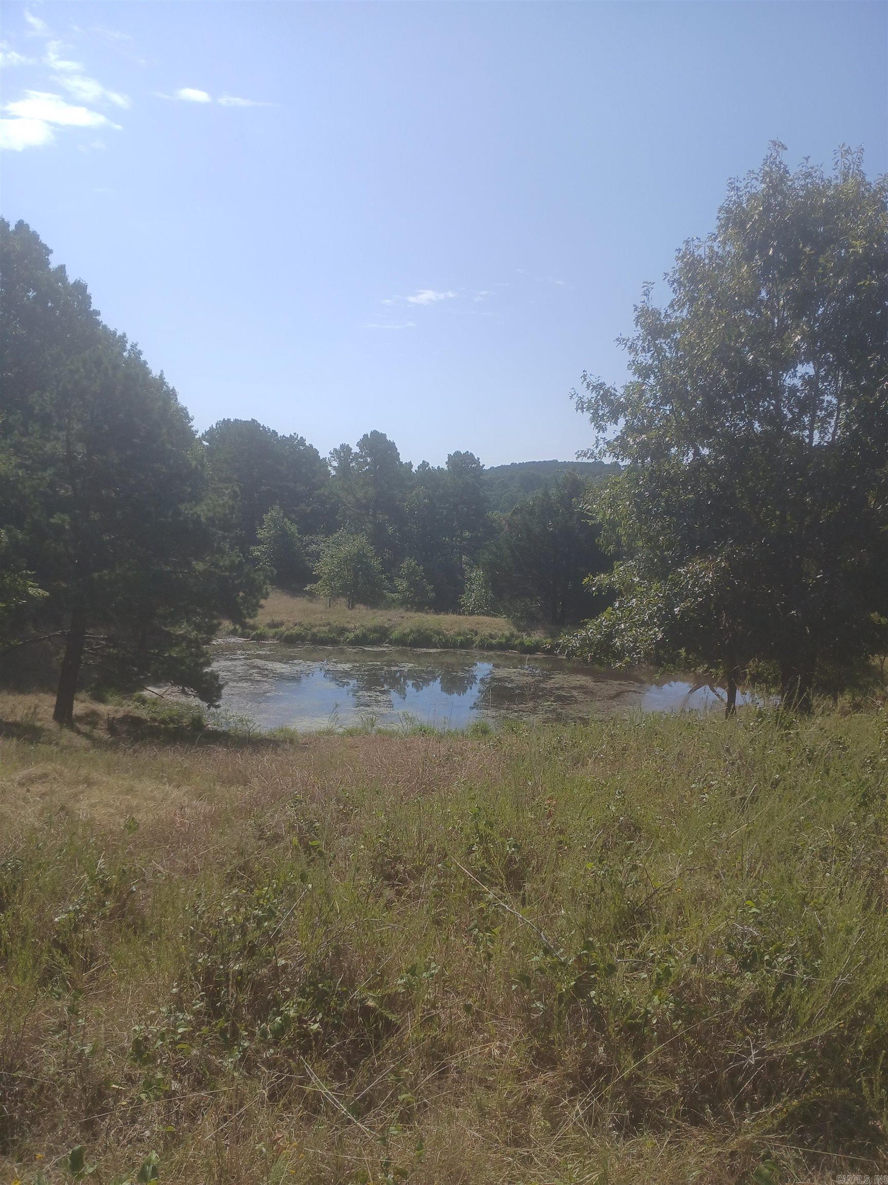 445 Hudspeth  Yellville, AR