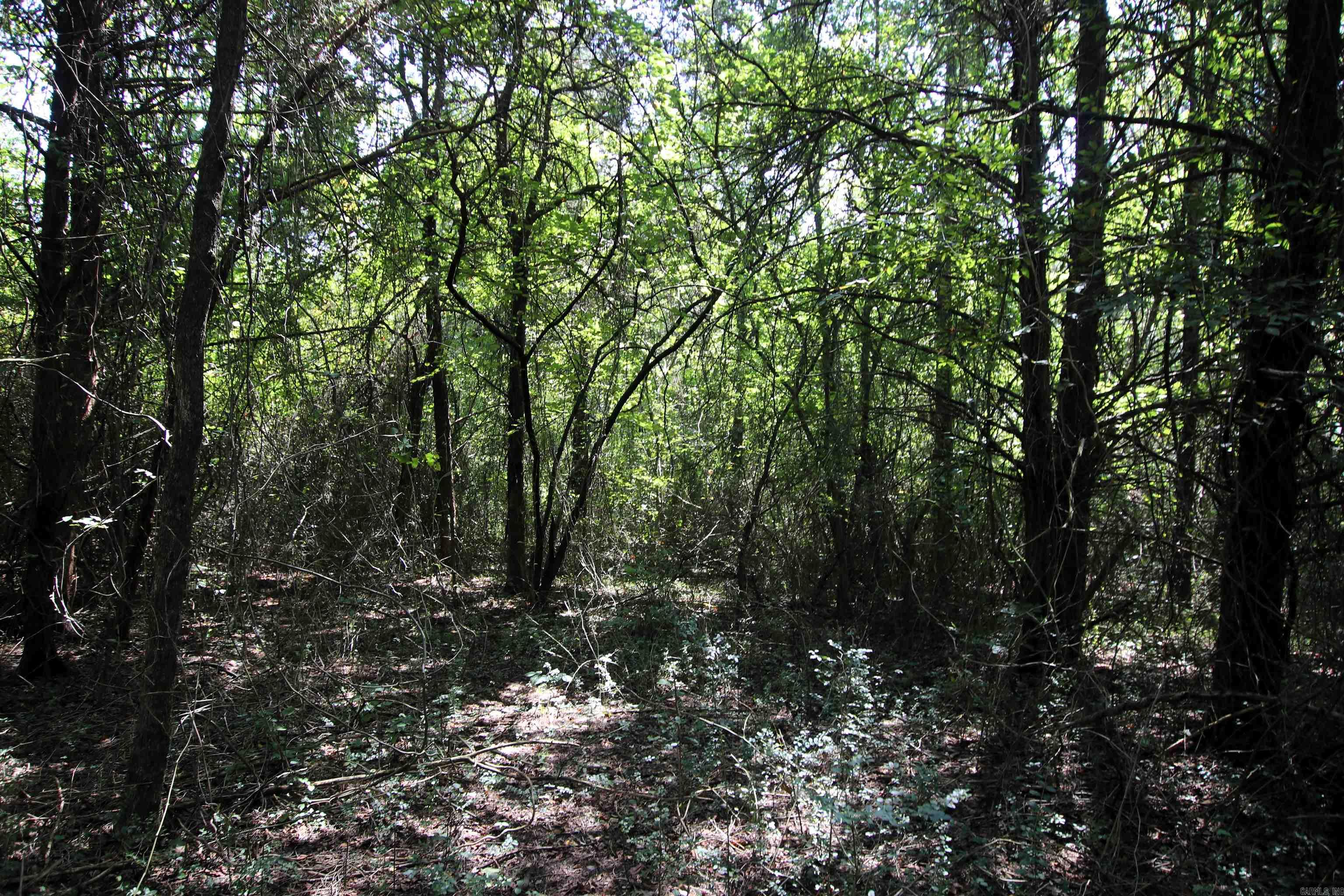 128 Smokey  Center Ridge, AR