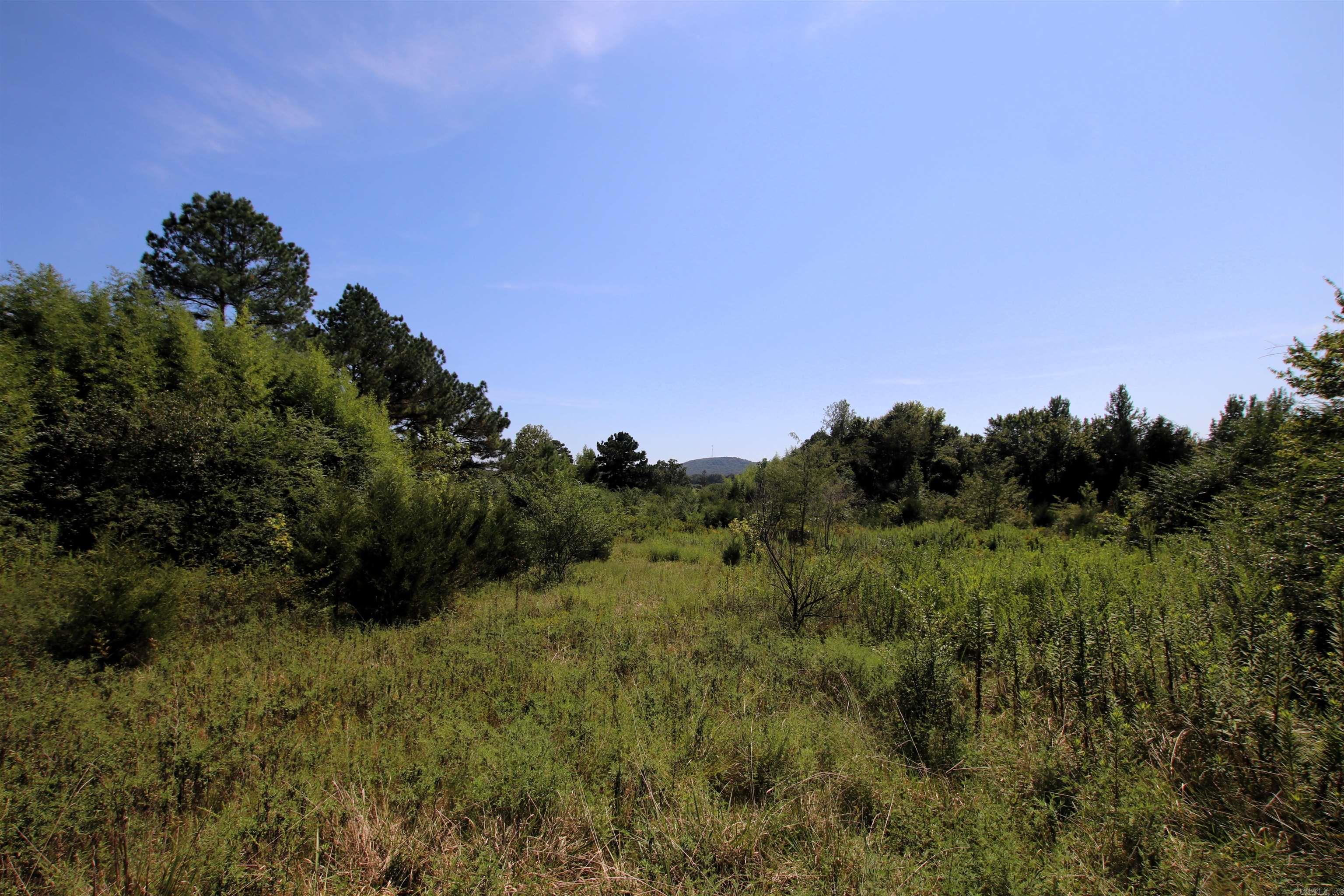 128 Smokey  Center Ridge, AR