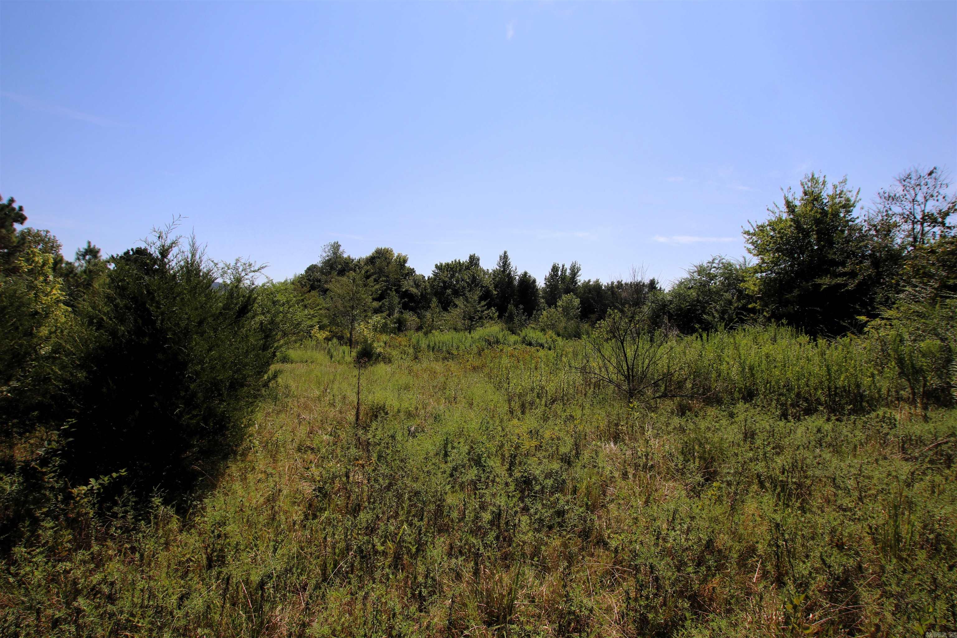 128 Smokey  Center Ridge, AR