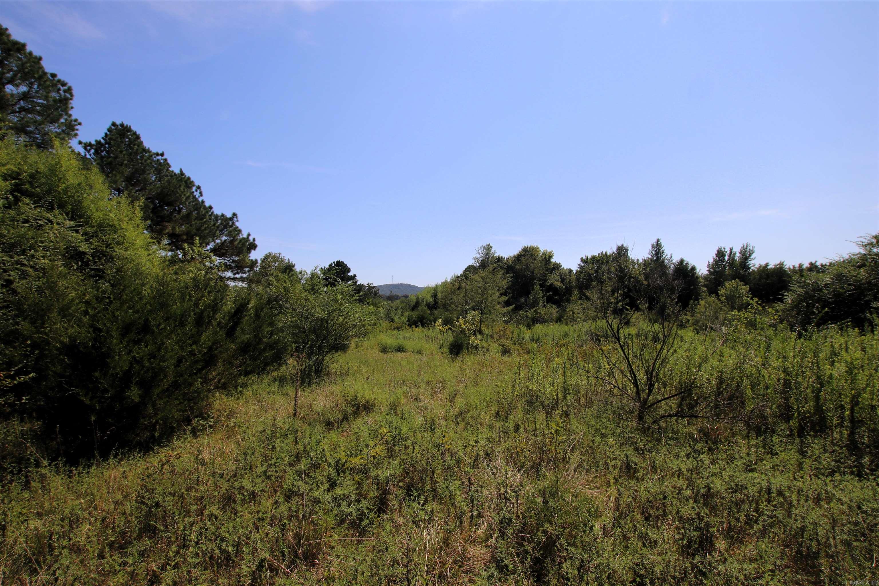 128 Smokey  Center Ridge, AR