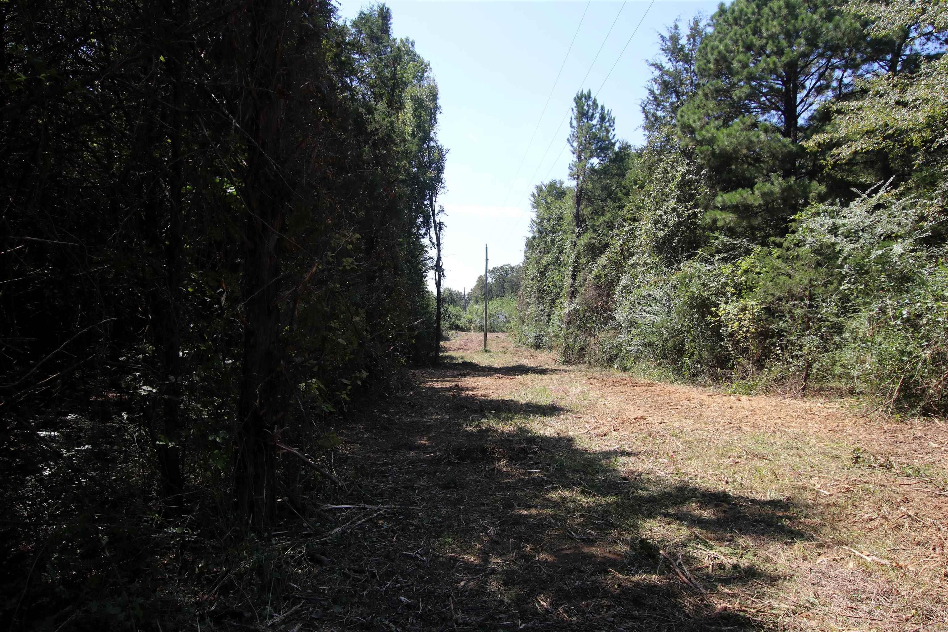 128 Smokey  Center Ridge, AR