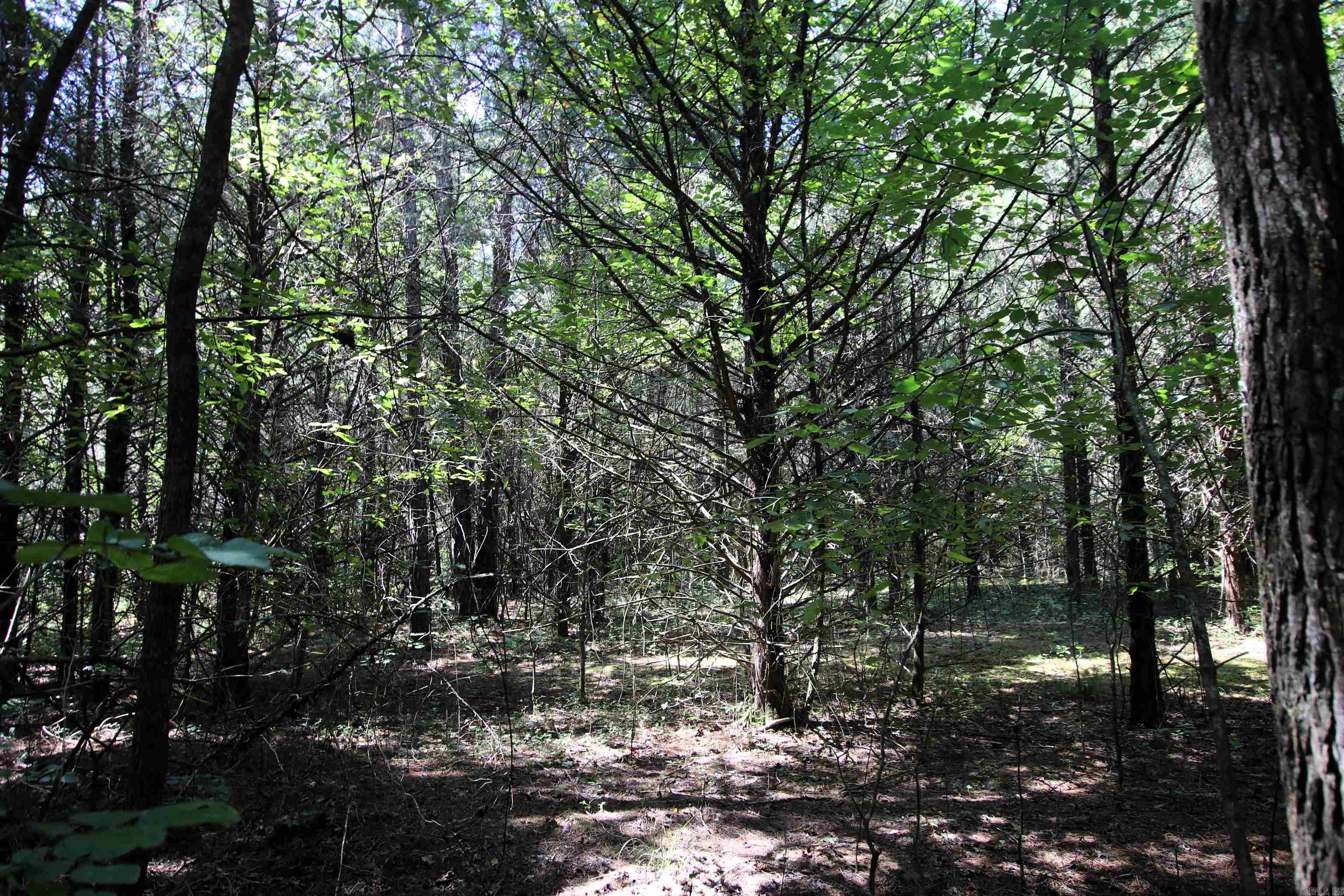 128 Smokey  Center Ridge, AR