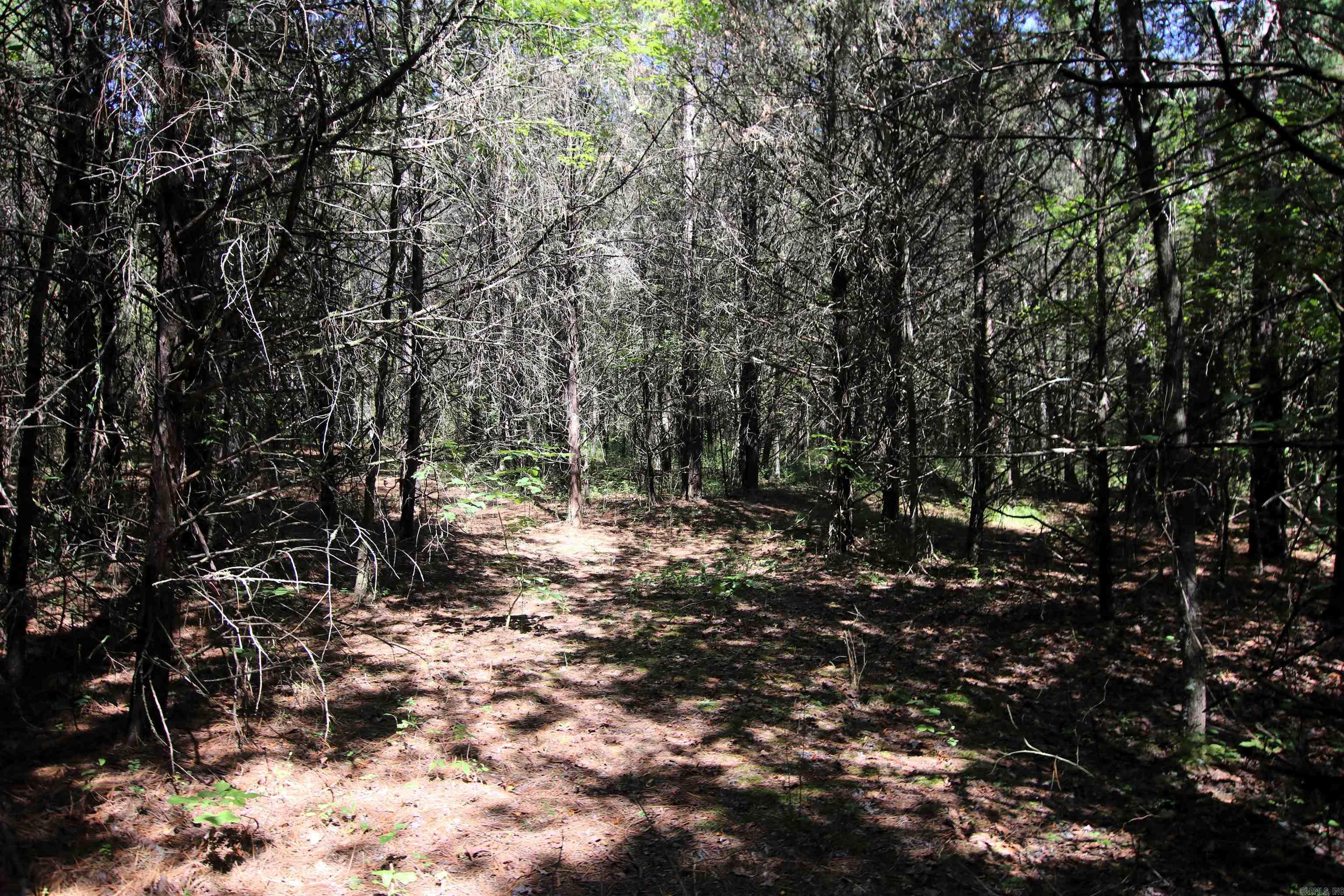 128 Smokey  Center Ridge, AR